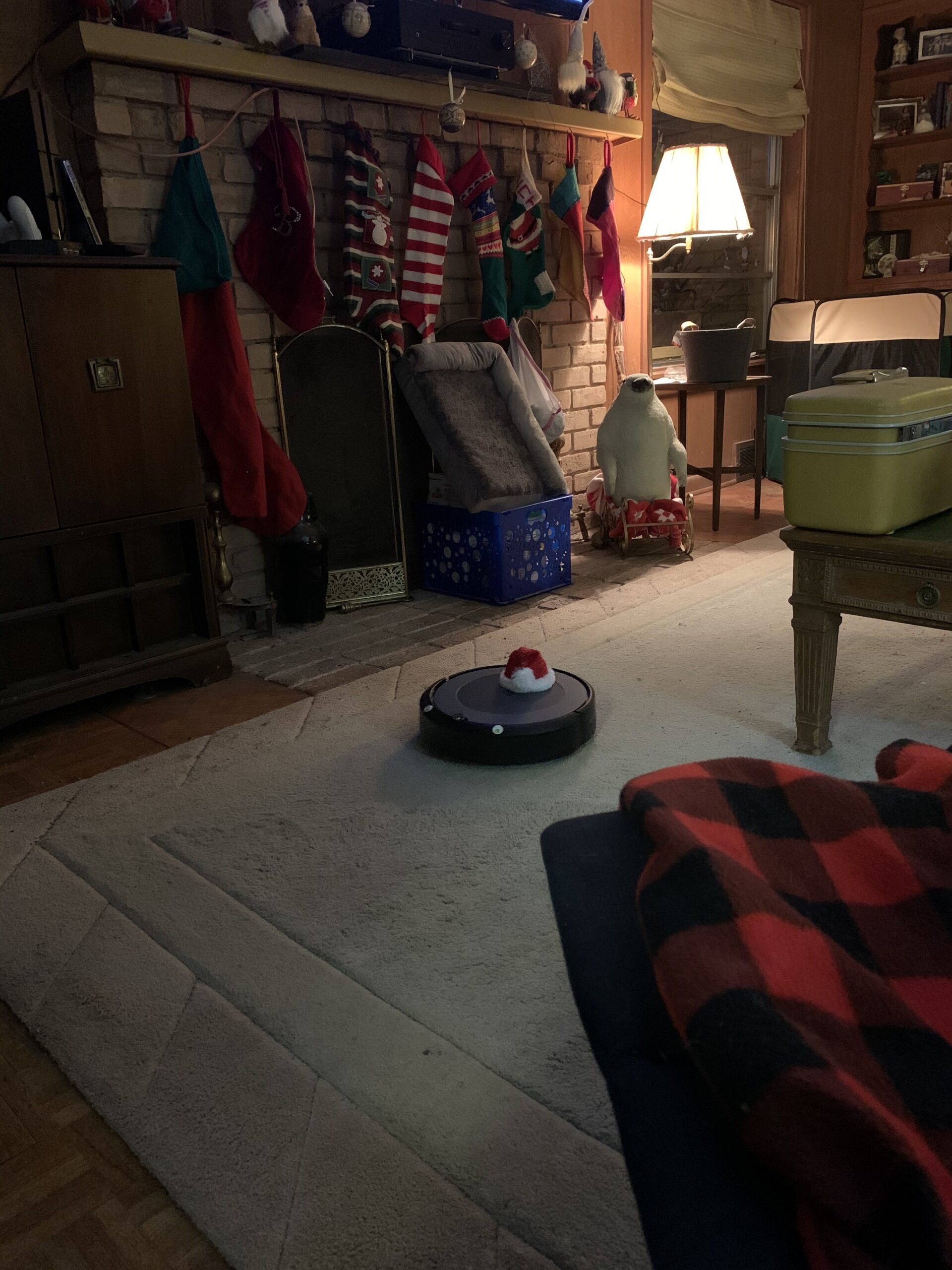 Roomba i3+ EVO (3550) Self-Emptying Robot Vacuum customer photo 1