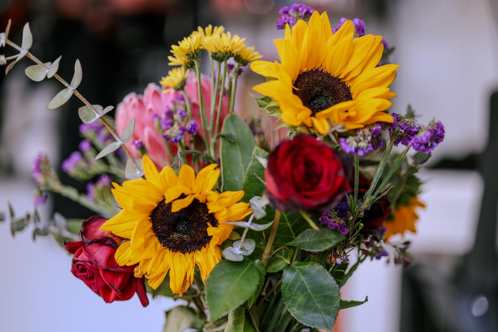 Canon RF 85mm F2 Macro IS STM Compact Medium-Telephoto Lens customer photo 1