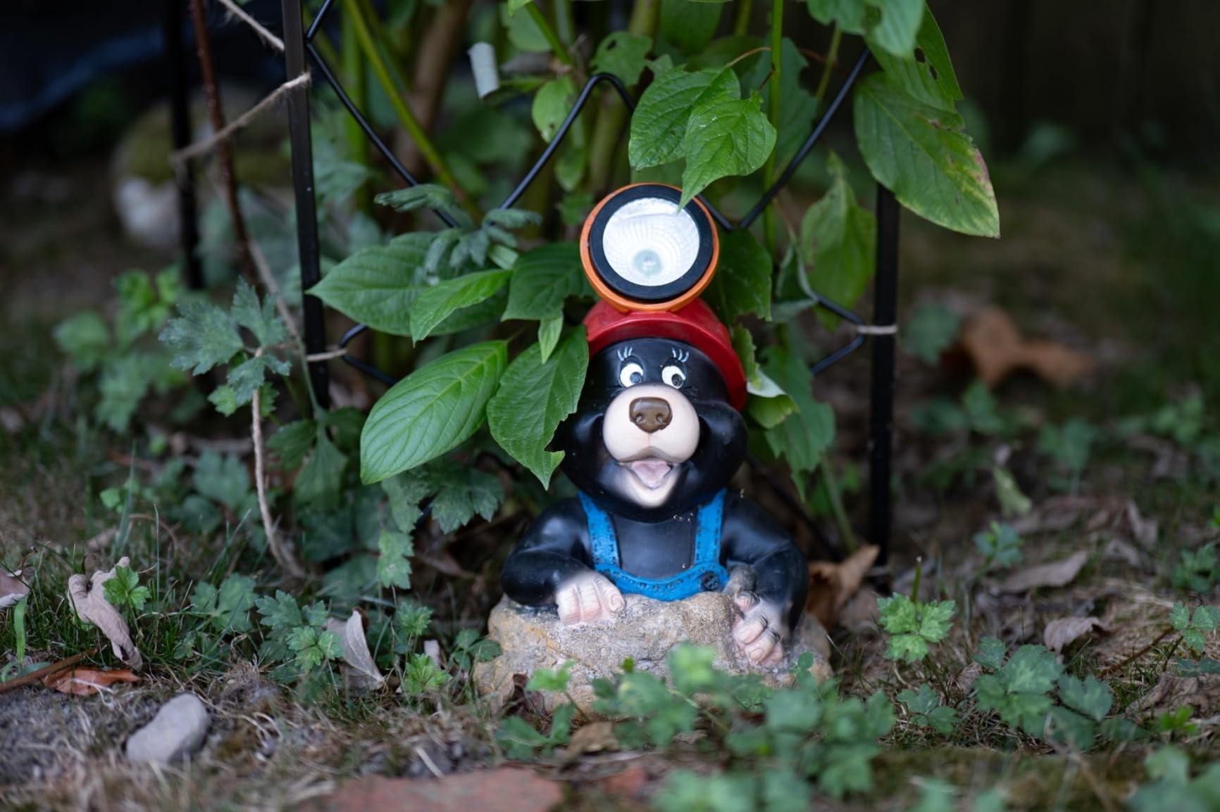 LUMIX S5 Full Frame Mirrorless Camera, 4K 60P Video Recording with Flip Screen and WiFi, L-Mount, 5-Axis Dual I.S., DC-S5BODY customer photo 2