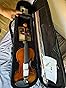 Aileen 4/4 Violin Set for Beginners, Full Size Fiddle Kit for Adults Starters and Children Teenager Students customer photo 1