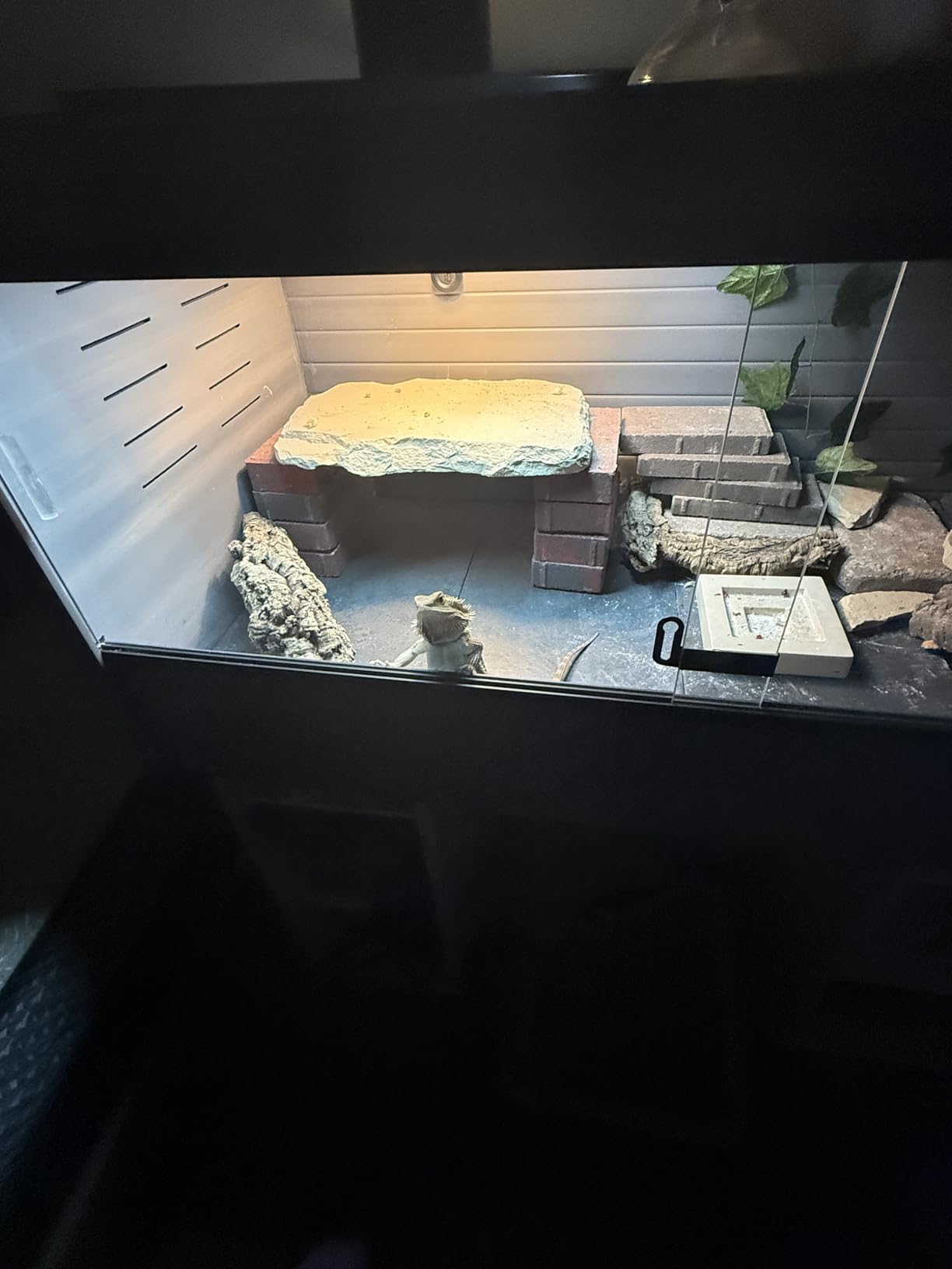 REPTI ZOO T5 HO UVB Lighting Combo Kit, Terrarium Hood Comes with Desert 10.0 UVB T5 Lamp (24W) customer photo 1