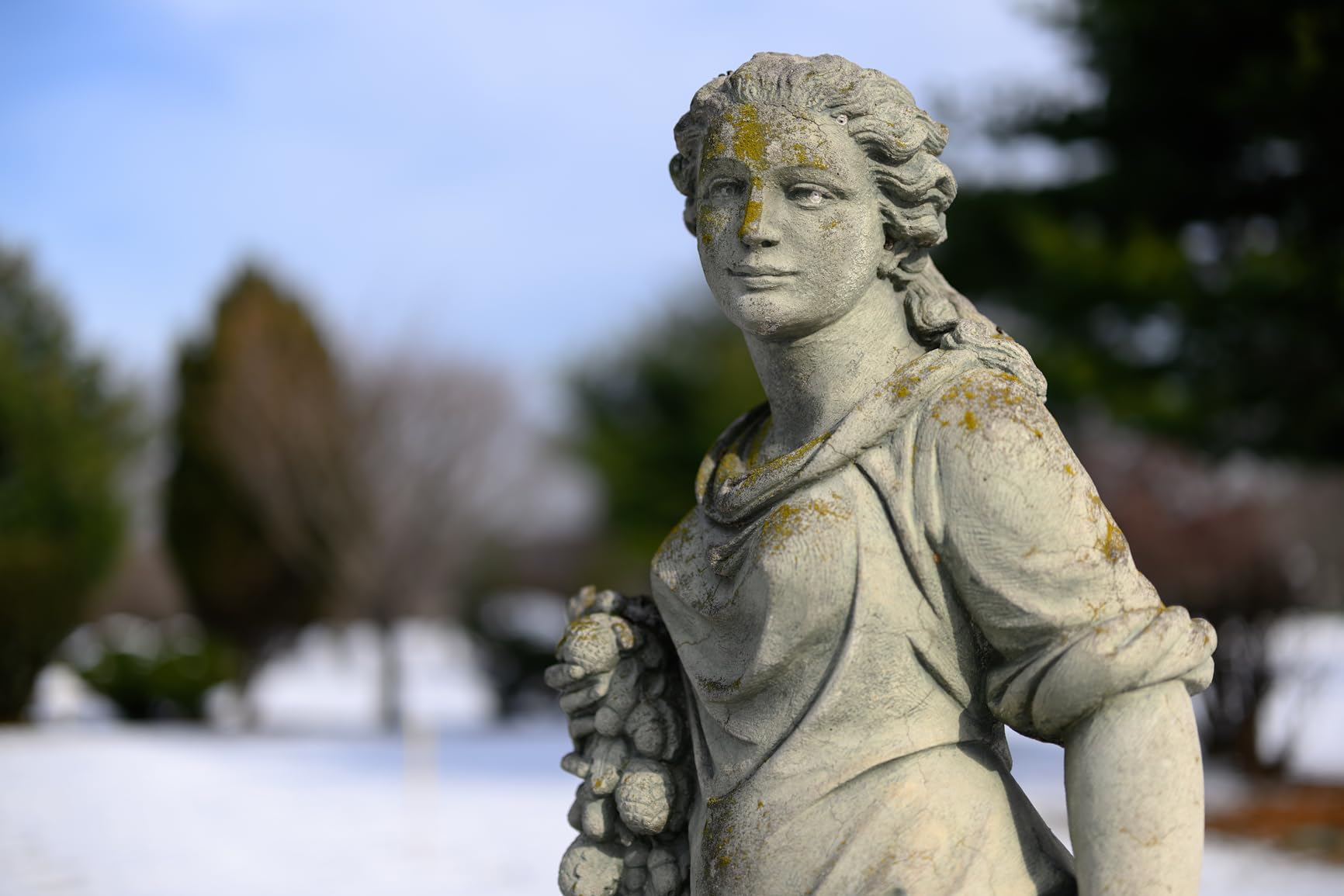 Nikon NIKKOR Z 50mm f/1.2 S Professional Prime Lens customer photo 2