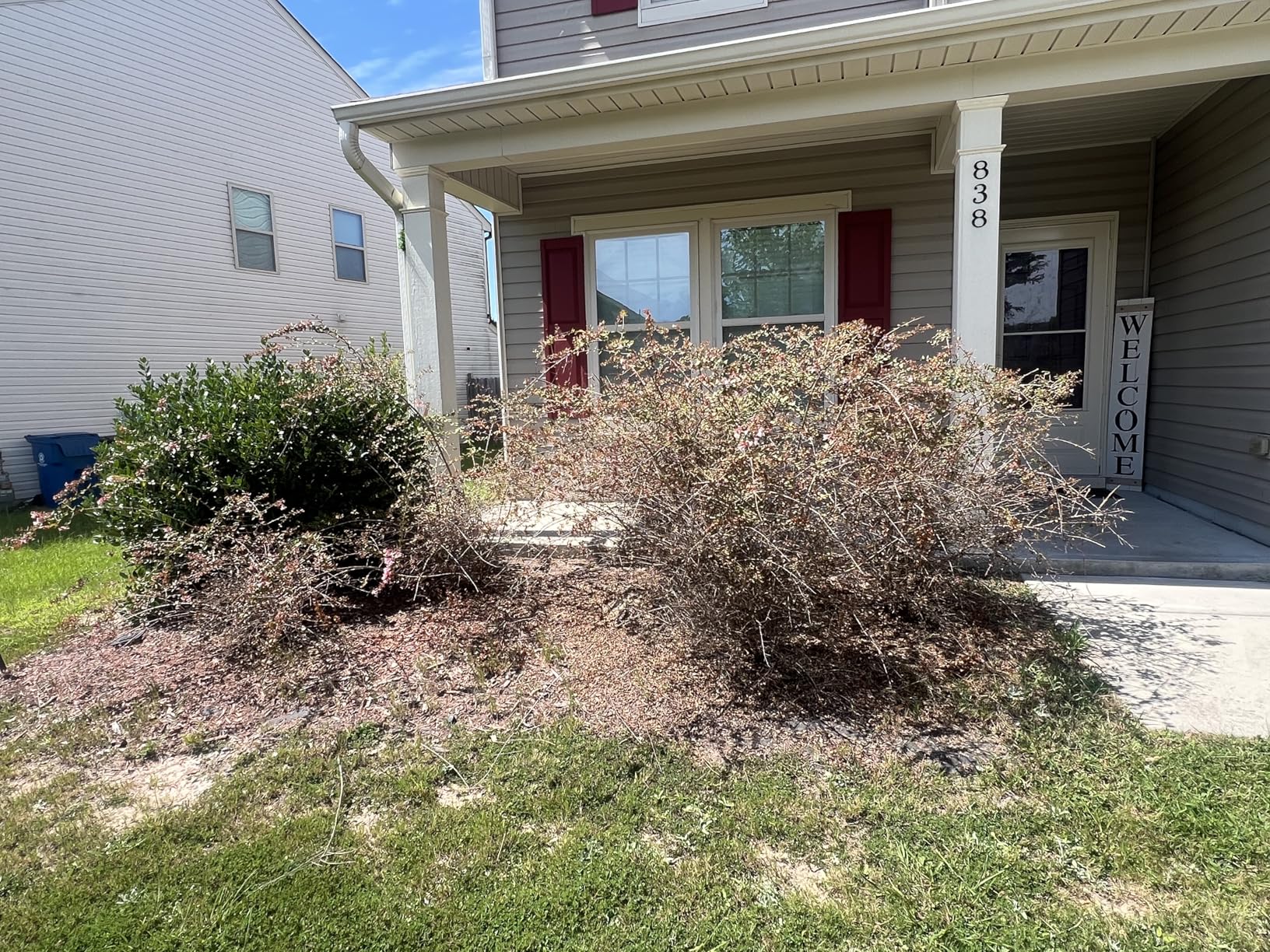 MZK 22'' Cordless Hedge Trimmer, 20V Bush Trimmer, Handheld Hedge Cutter, Grass Shrub Trimmer, Lightweight & Compact Trimmer(Battery & Charger Included) customer photo 2