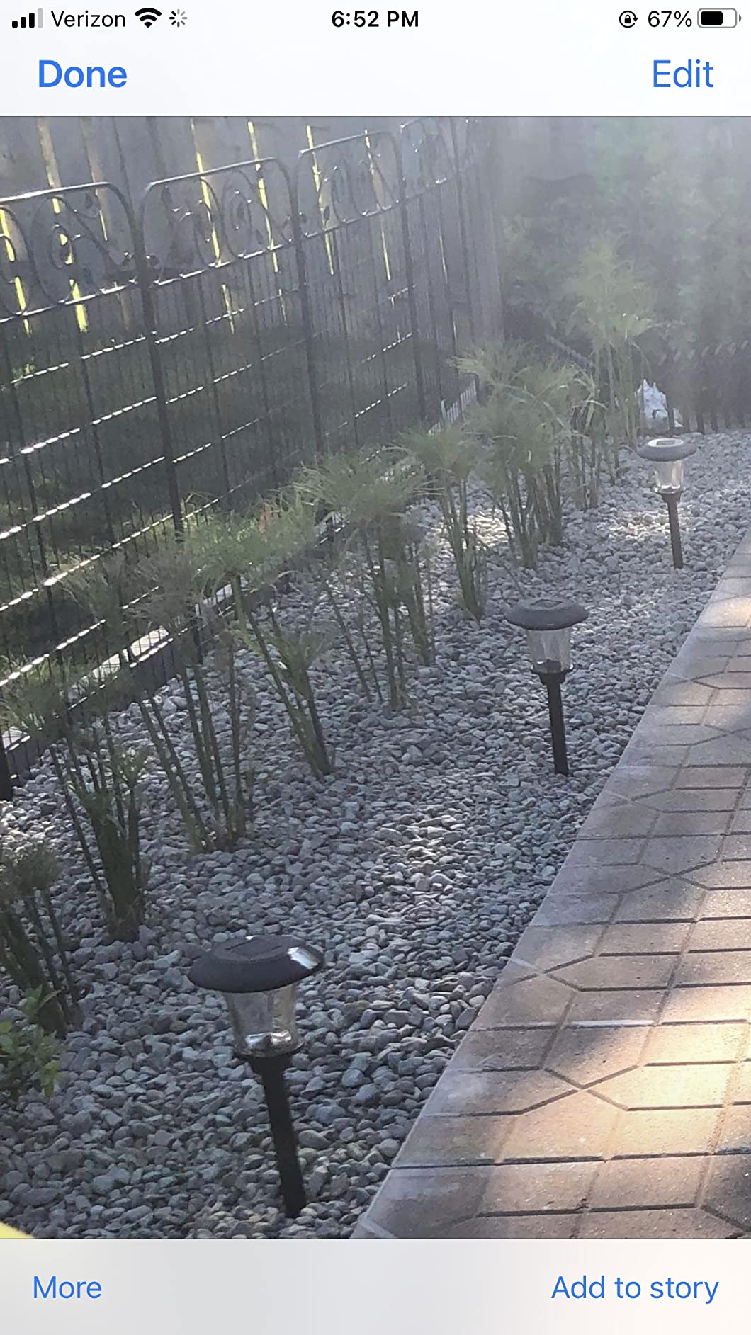 1 Pack 44 Inches x 36 Inches Black Coated Steel Decorative Garden Fence Gate with 8 Leaves, Heavy Duty Metal Wire Border Gate customer photo 1