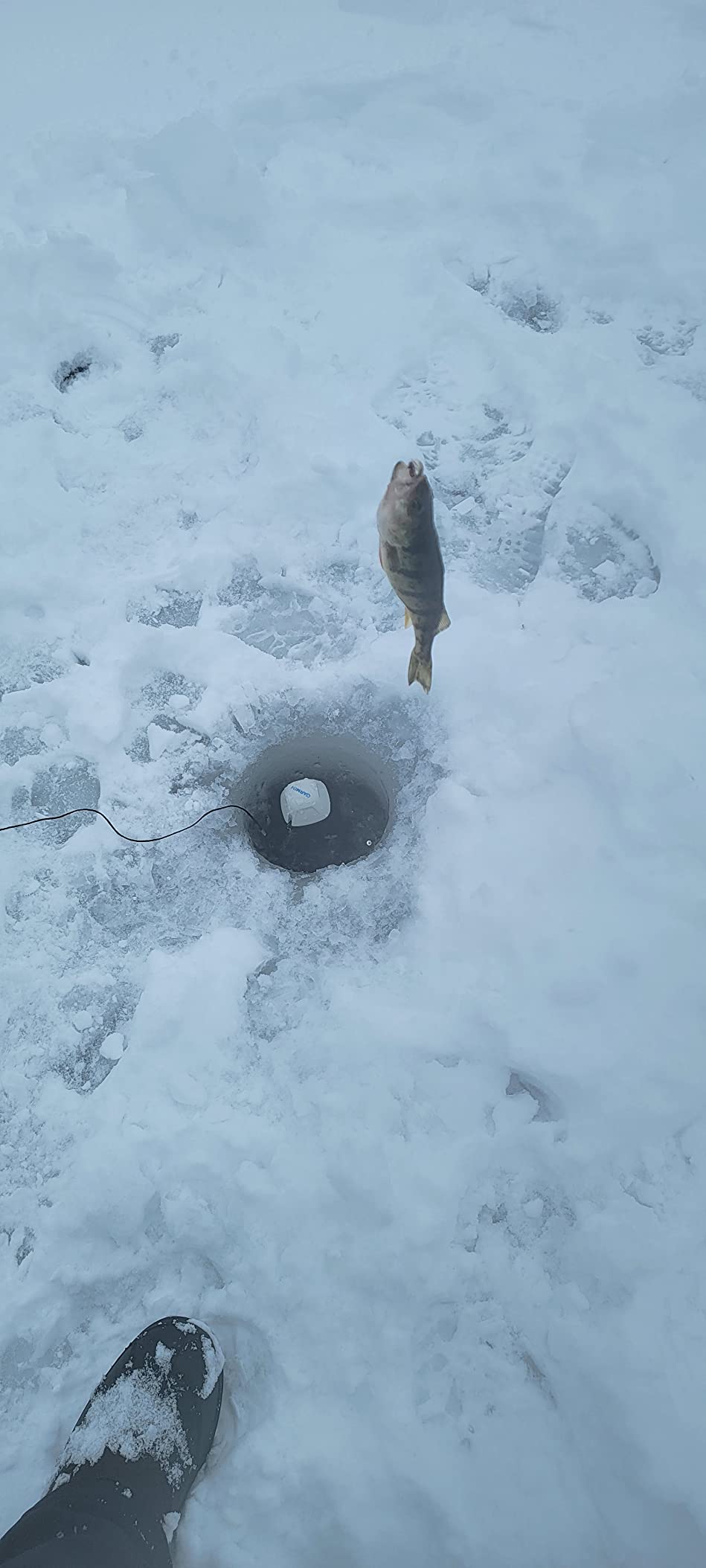 Garmin Striker Cast Castable Sonar for Mobile Devices customer photo 2