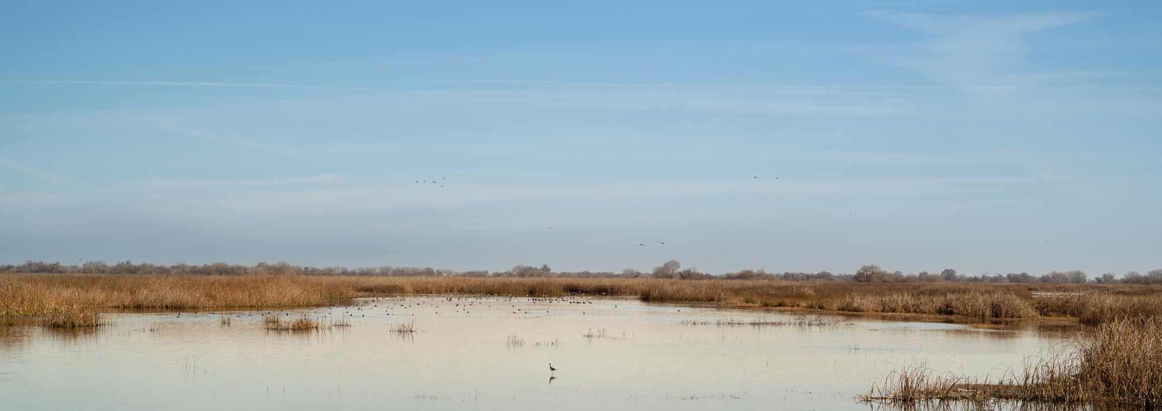 K&F Concept 58mm UV/CPL/ND Lens Filter Kit (3 Pieces)-18 Multi-Layer Coatings, UV Filter + Polarizer Filter + Neutral Density Filter (ND4) + Cleaning Cloth+ Filter Pouch for Camera Lens (K-Series) customer photo 1