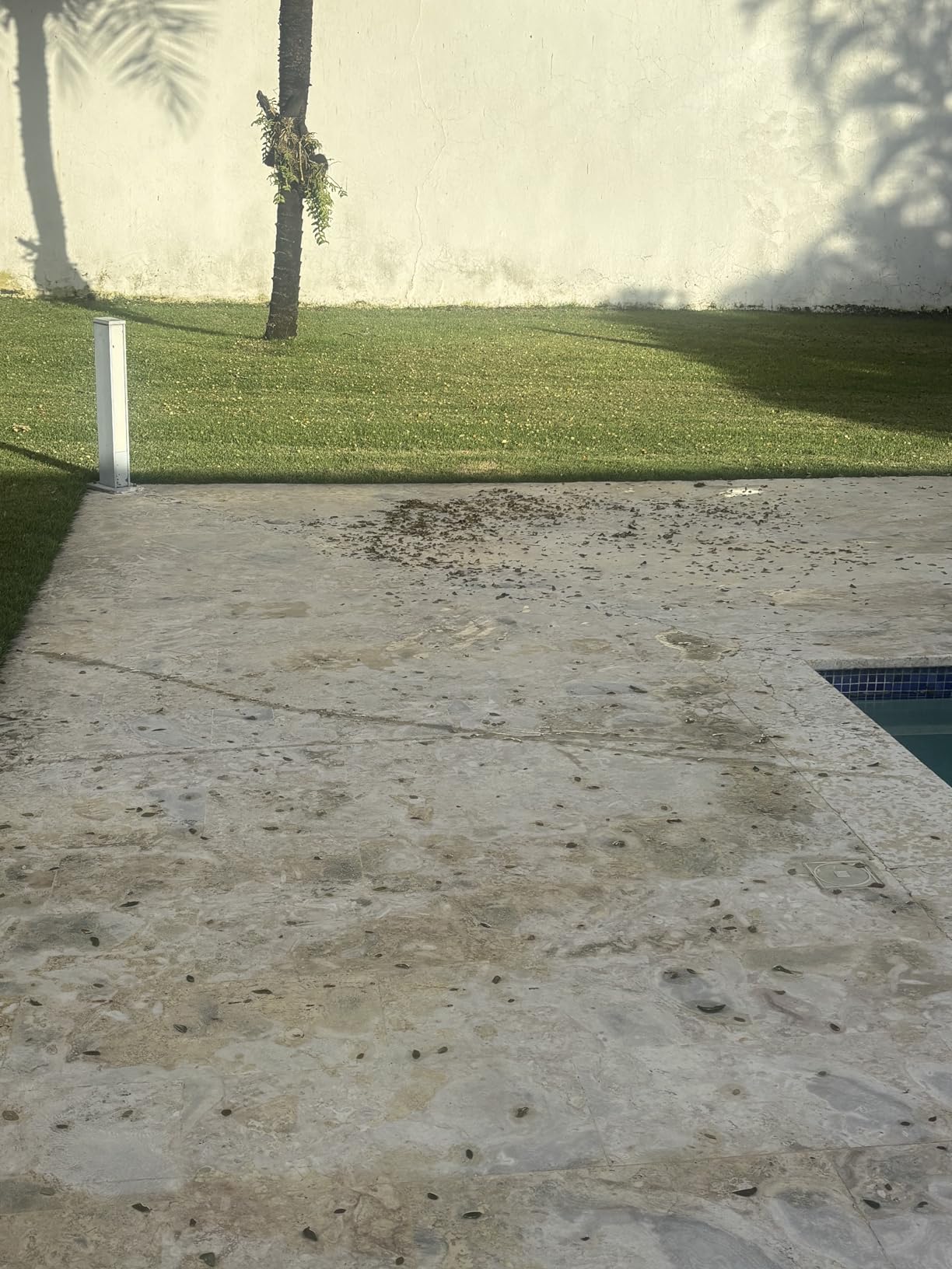 Karcher Walk Behind Outdoor Push Sweeper S 4 Twin - 26.8