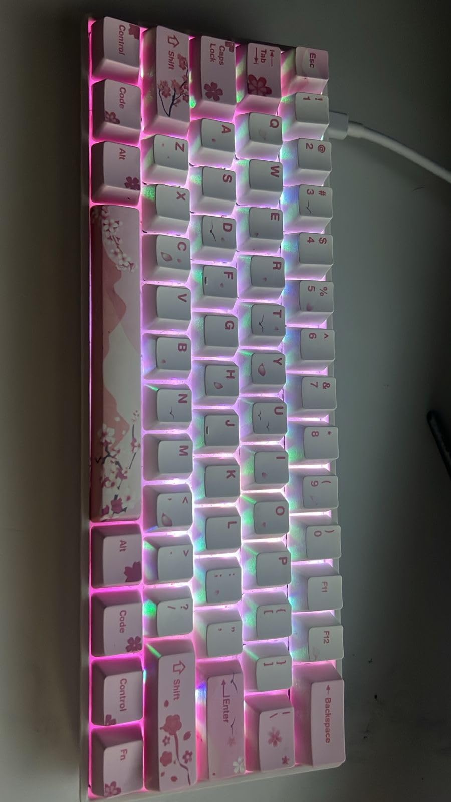 GK61 Mechanical Gaming Keyboard 60 Percent | 61 RGB Rainbow LED Backlit Programmable Keys | USB Wired | for Mac and Windows PC | Hotswap Gateron Optical Brown Switches | Blue customer photo 1