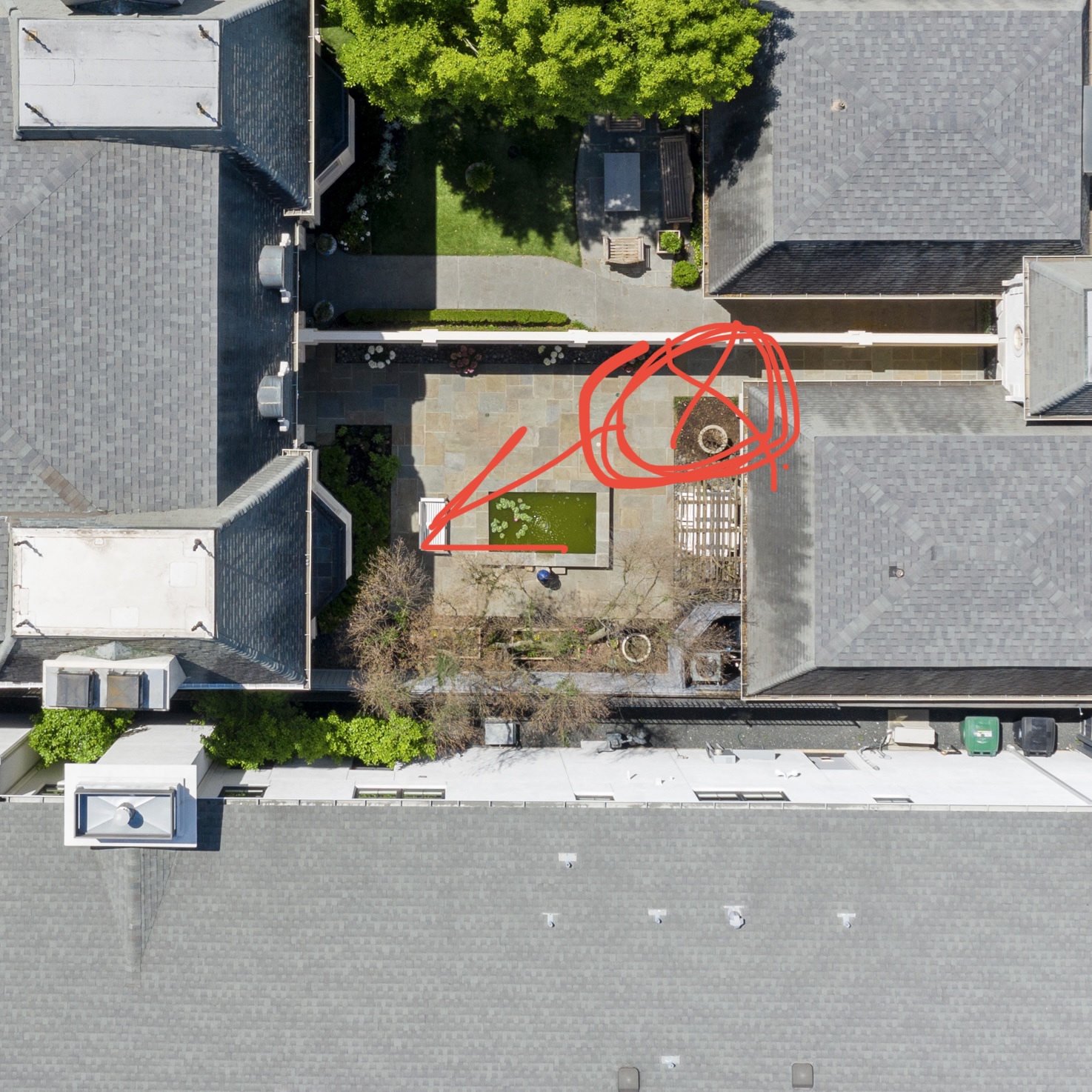 Venus Laowa 15mm f/4.5 Zero-D Shift Lens for Nikon Z customer photo 2