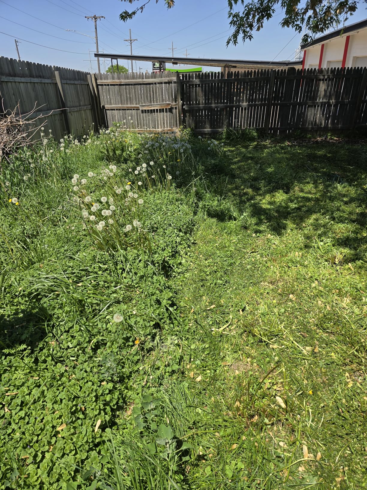 Greenworks 48V (24V x 2) 21