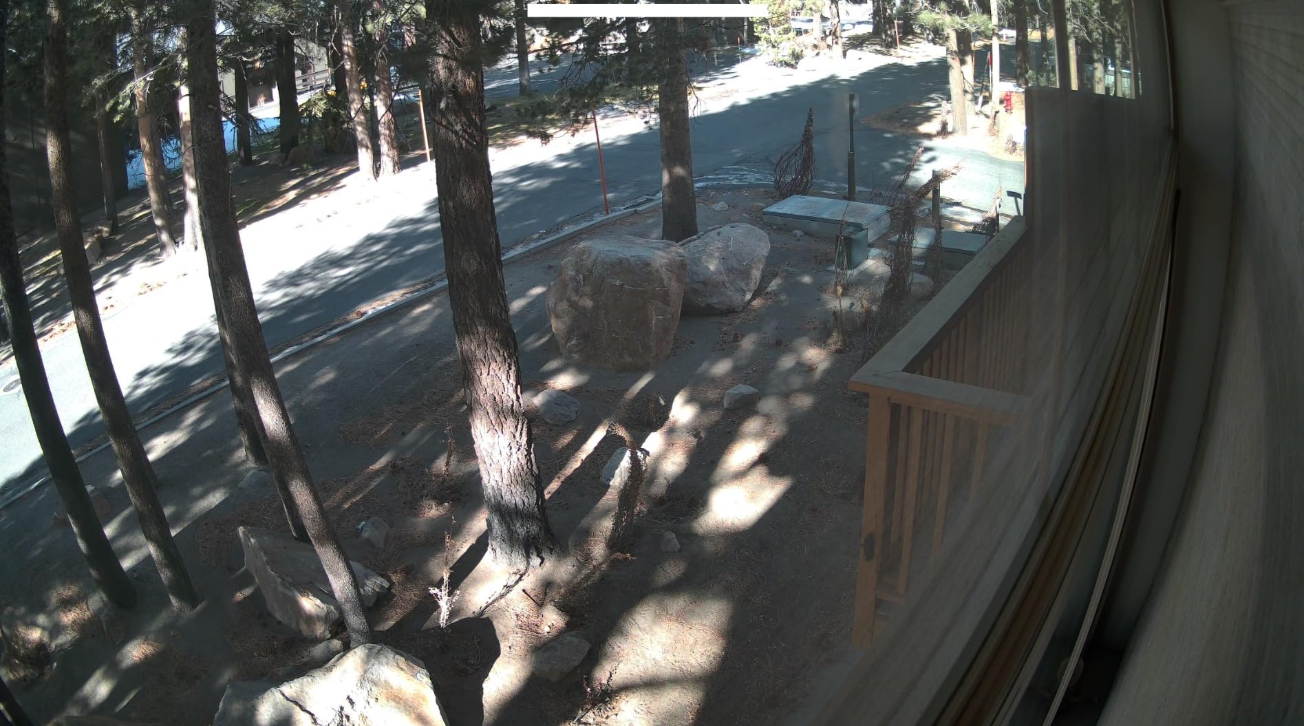 REOLINK 12MP PoE IP Camera Outdoor, Bullet Surveillance Cameras for Home Security, Smart Human/Vehicle/Pet Detection, 700lm Color Night Vision, Two Way Talk, Up to 512GB microSD Card, RLC-1212A customer photo 1