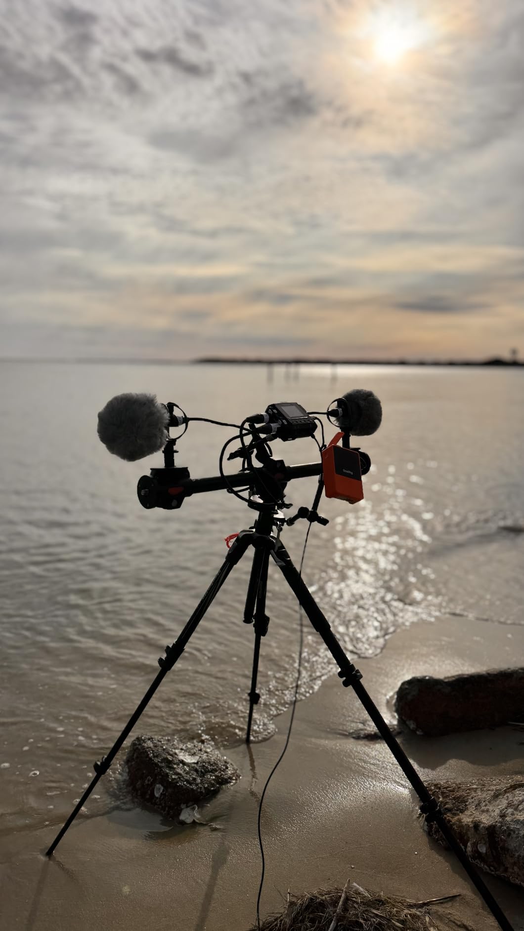 SmallRig Tripod Ball Head 360 Degree Rotating Panoramic Ballhead with 1/4 inch Quick Shoe Plate, Max Load up to 5 kg/ 11lb, for Tripod Monopod Slider DSLR Camera Camcorder - 3034 customer photo 1