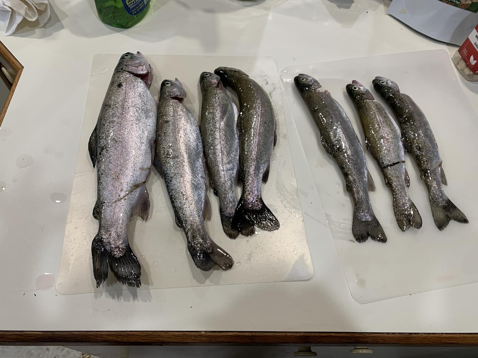 Handheld Fish Finder Portable with Sonar Transducer and LCD Display customer photo 1