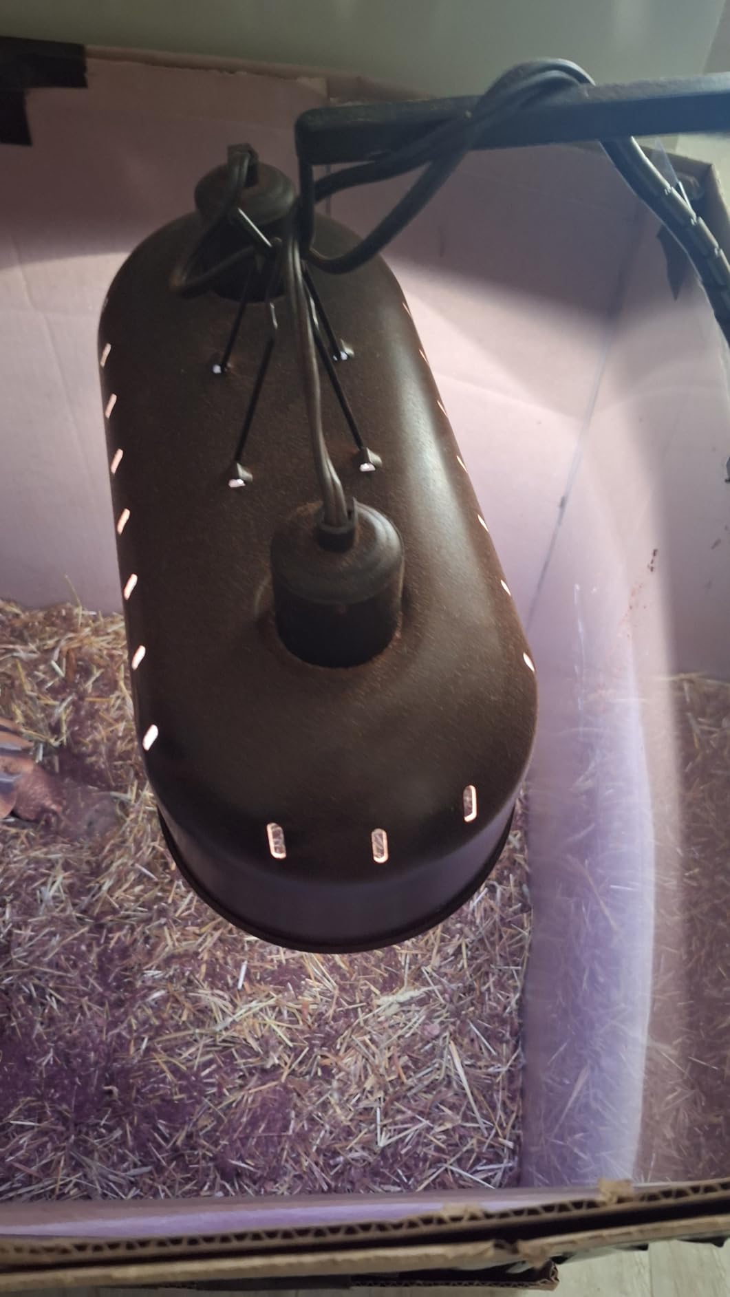 DXOPHIEX 15inch Dual Reptile Light Fixture, Max 150W Dual Reptile Heat Lamp with Separate Switches, Double Dome Lamp UVB Light Fixture for Bearded Dragon, Turtles, Snake and Lizard Terrarium customer photo 1