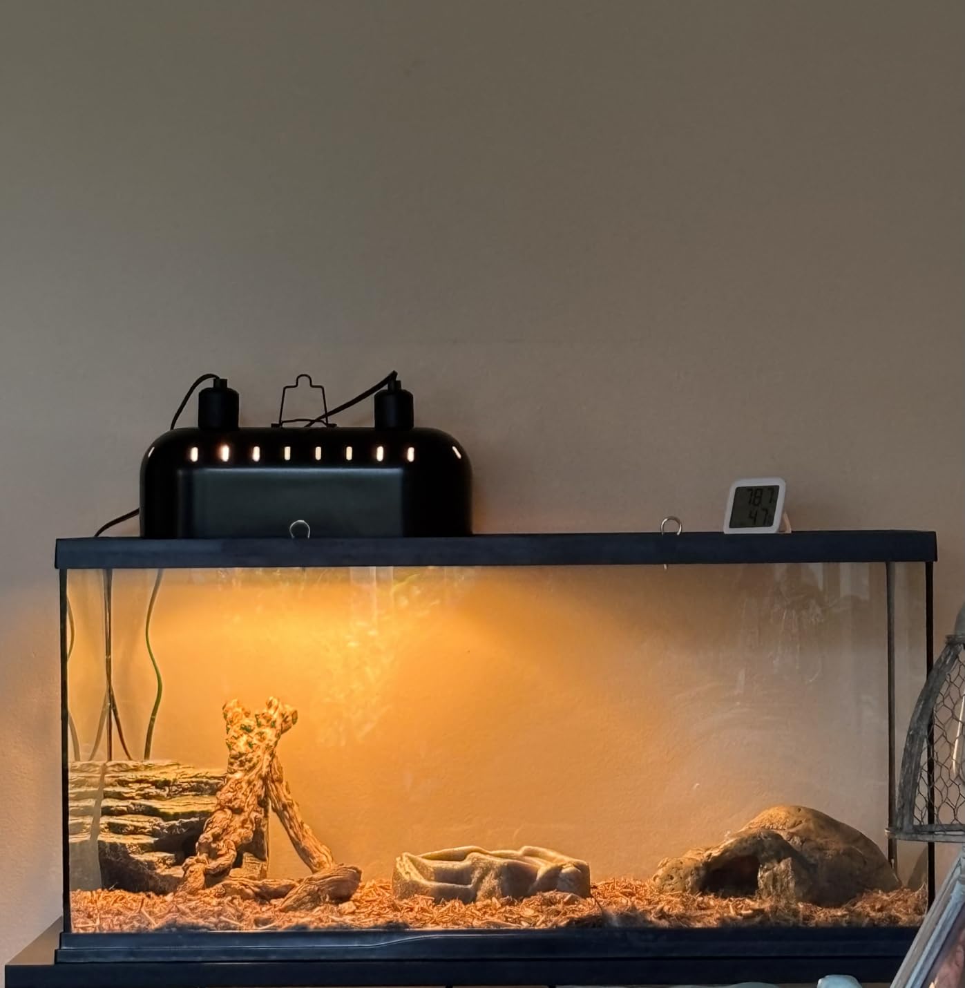 DXOPHIEX 15inch Dual Reptile Light Fixture, Max 150W Dual Reptile Heat Lamp with Separate Switches, Double Dome Lamp UVB Light Fixture for Bearded Dragon, Turtles, Snake and Lizard Terrarium customer photo 2