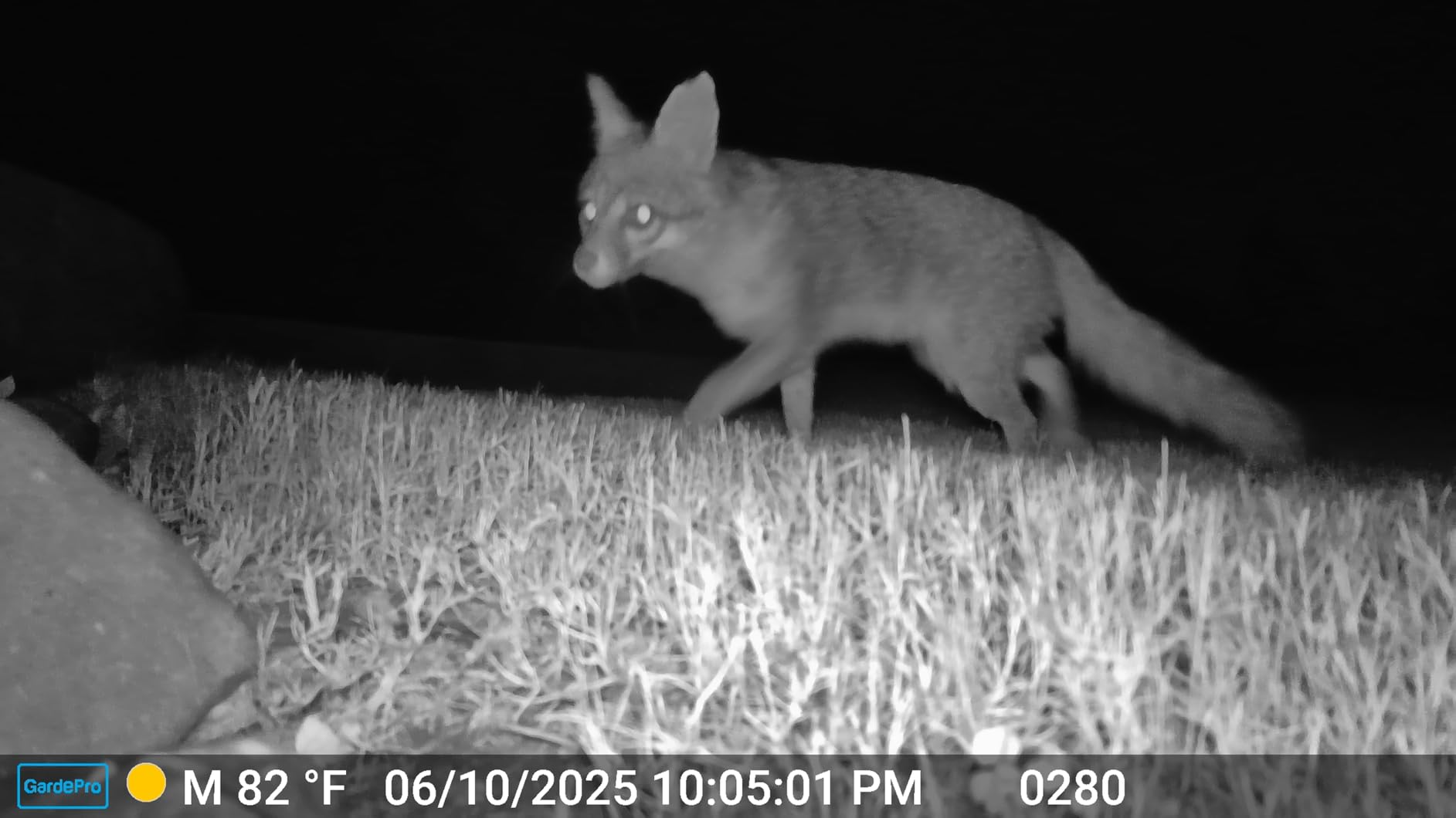 GardePro E6 WiFi Trail Camera (Non-Cellular), 64MP Photos, 1296P HD Video, App Control with Live View, 110° Wide-Angle, No-Glow Night Vision customer photo 2