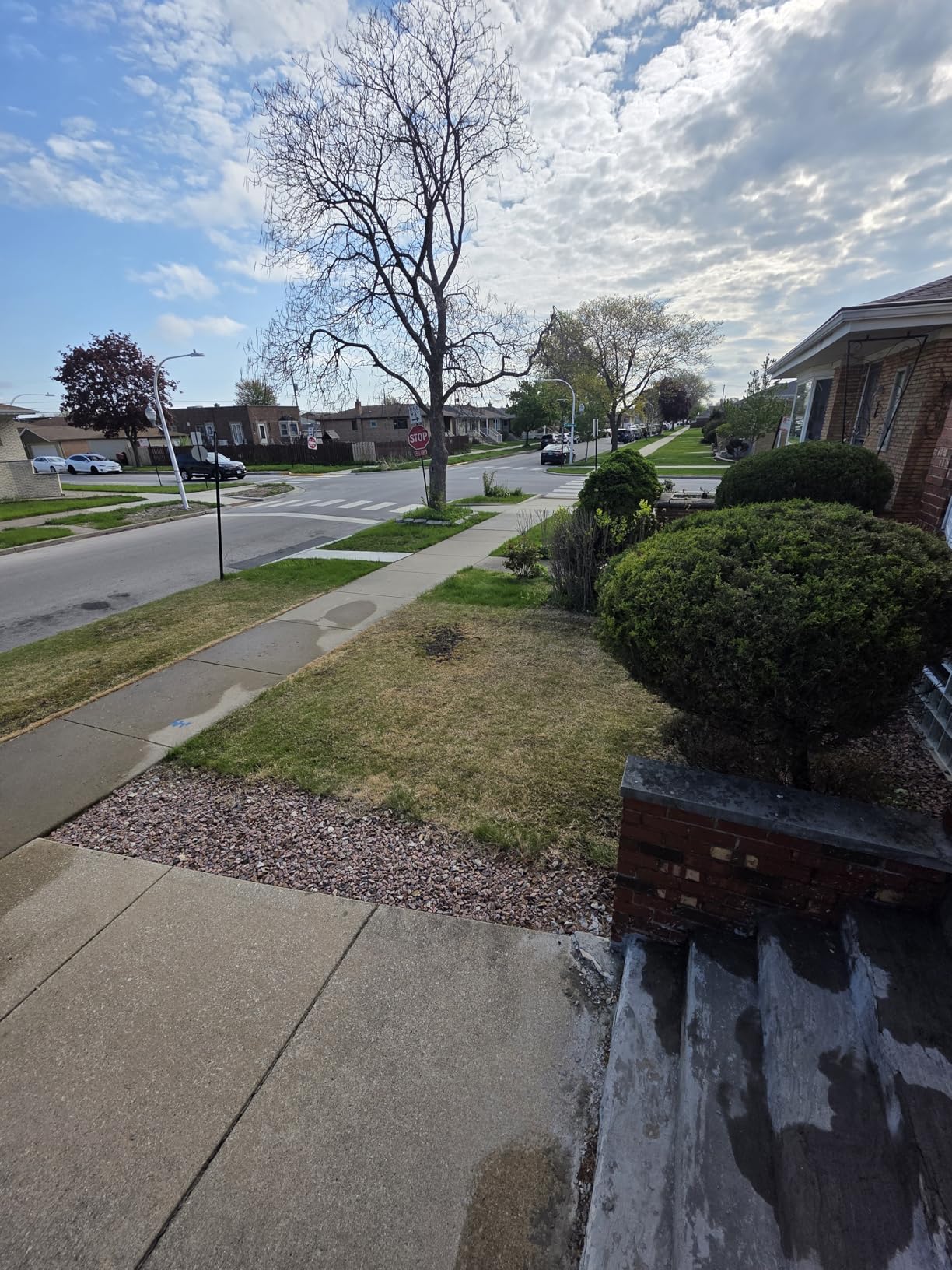 Sun Joe 15-Inch Electric Powered Lawn Dethatcher with Scarifier Blade Reel and Collection Bag - 13-Amp Corded Yard Power Rake Tool Machine for Grass Thatch Removal, AJ805E customer photo 2