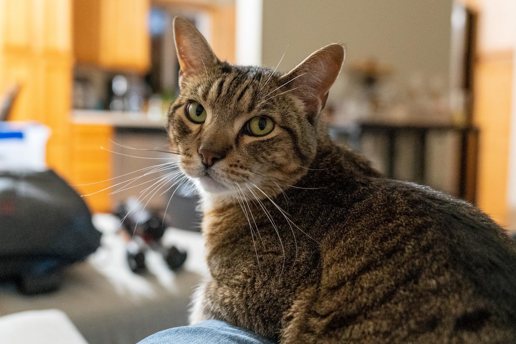 Sigma 28-70mm F2.8 DG DN for Sony E customer photo 2