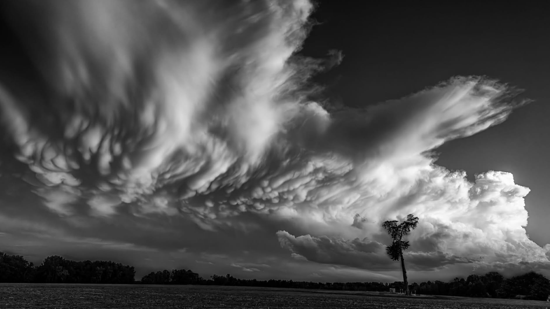 K&F Concept 77mm Soft GND8 (3 Stop) Lens Filter Soft Graduated Neutral Density Filter with 28 Multi-Layer Coatings for Camera Lens (Nano-X Series) customer photo 1