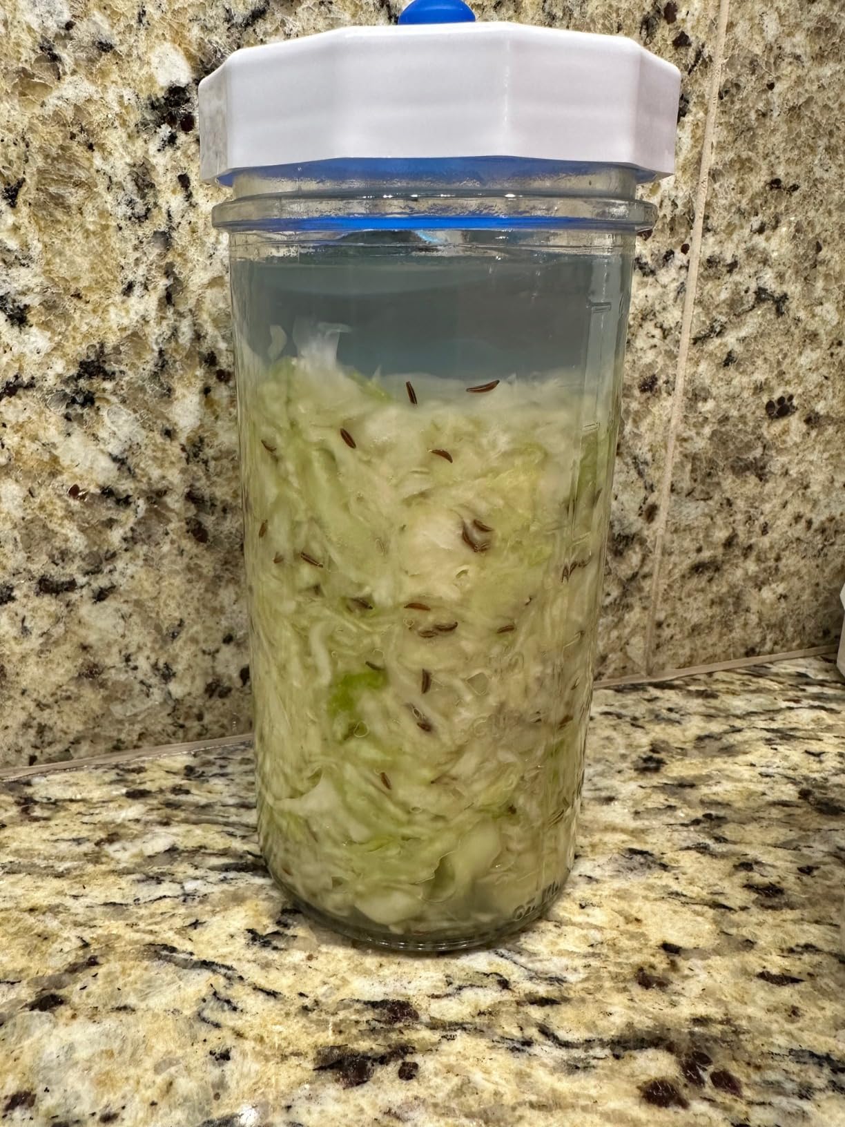 Masontops Fermentation Jar Starter Set, Easy Vegetable Fermentation Kit, Includes Mason Jar, Pickle Kit with Fermentation Lids & Fermentation Weight customer photo 1