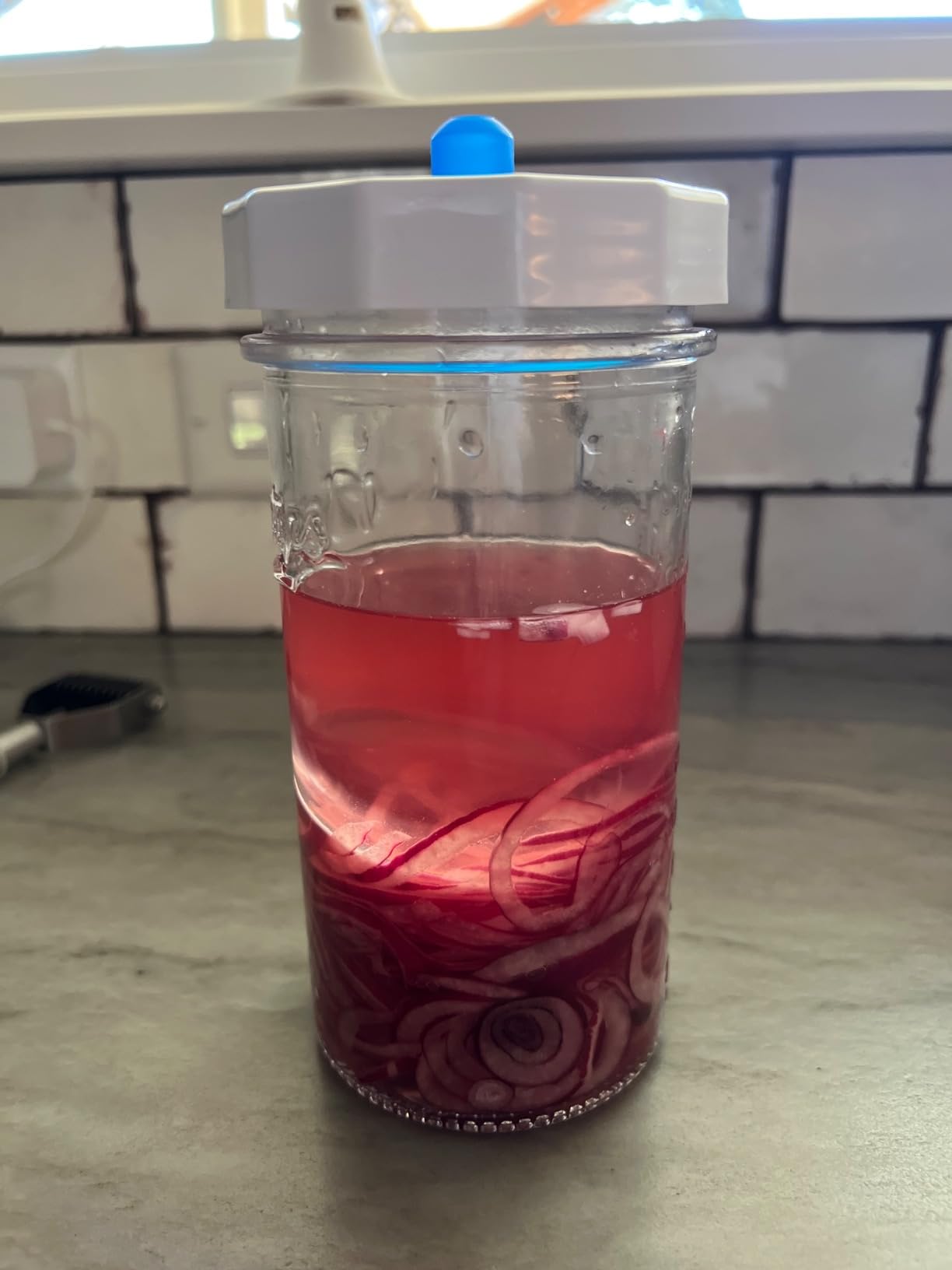 Masontops Fermentation Jar Starter Set, Easy Vegetable Fermentation Kit, Includes Mason Jar, Pickle Kit with Fermentation Lids & Fermentation Weight customer photo 2