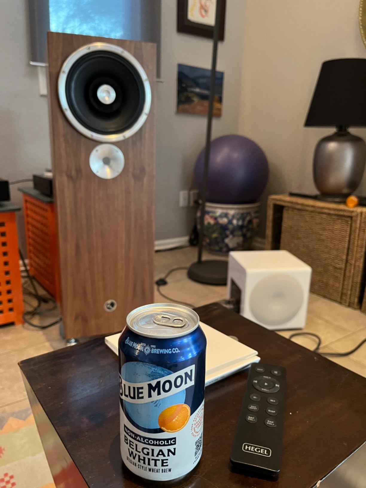 SVS 3000 Micro Sealed Subwoofer with Fully Active Dual 8-inch Drivers (Piano Gloss White) customer photo 2