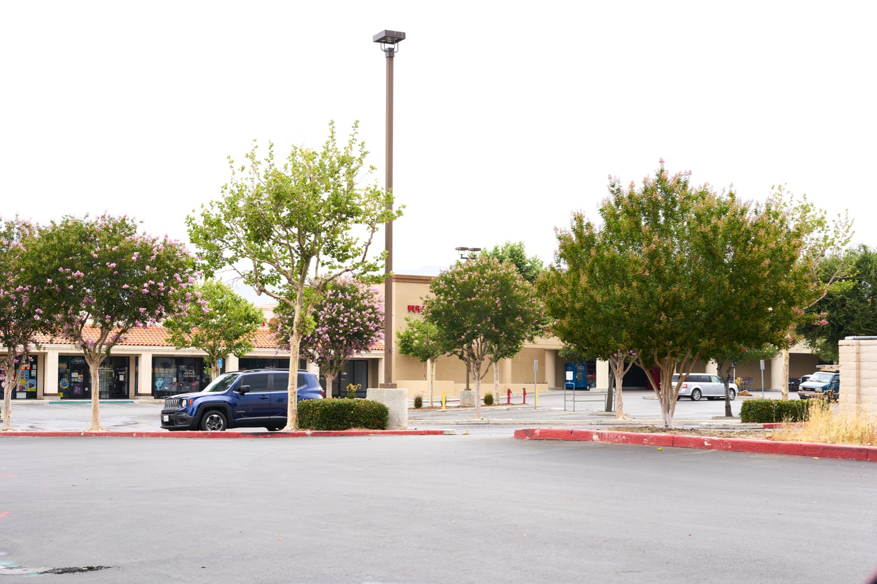 Sony FE 50mm F2.5 G Full-Frame Ultra-Compact G Lens customer photo 2