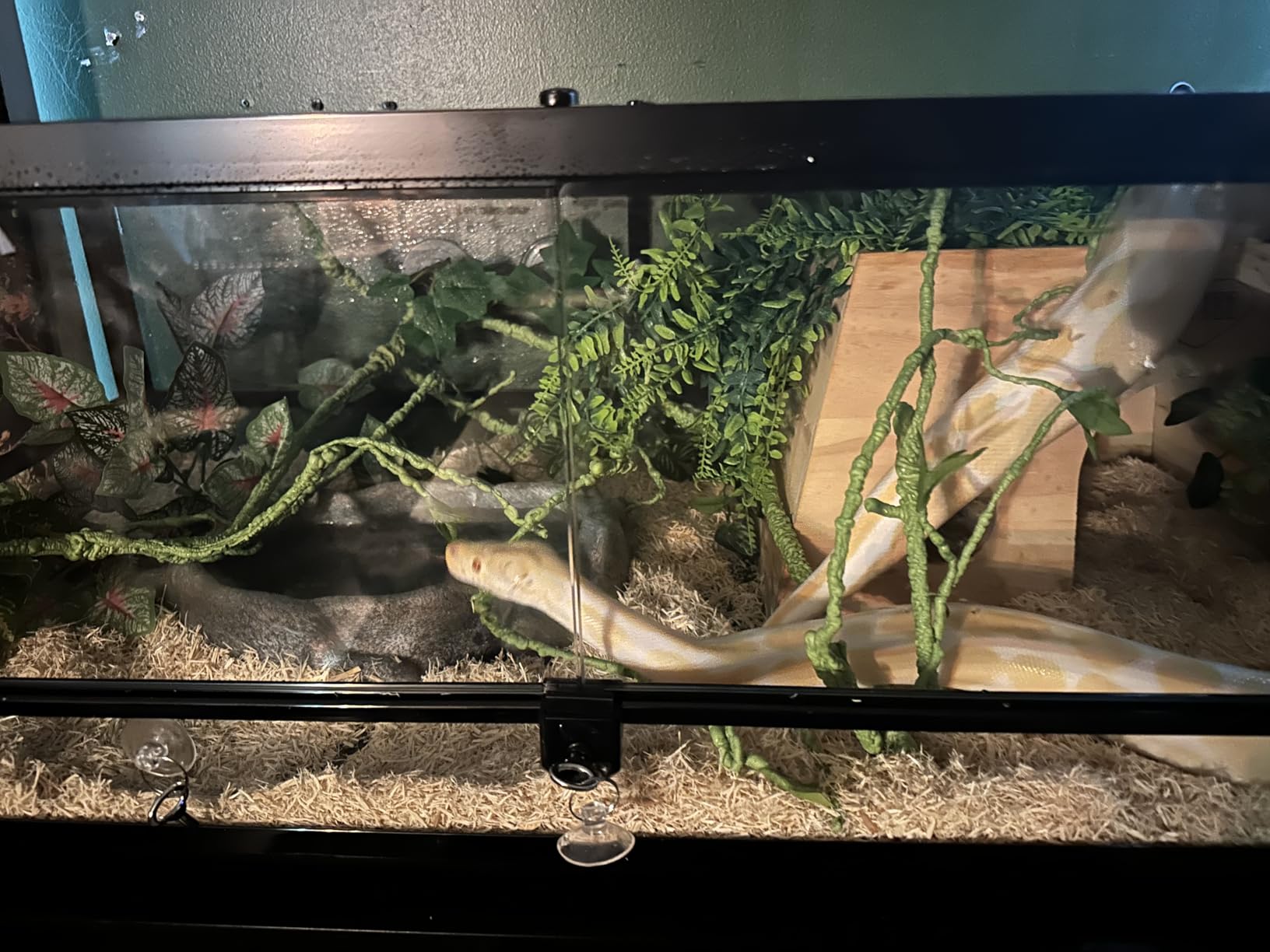 REPTI ZOO Full Glass 35 Gallon Reptile Tank, Front Opening Wide & Low Reptile Terrarium 36
