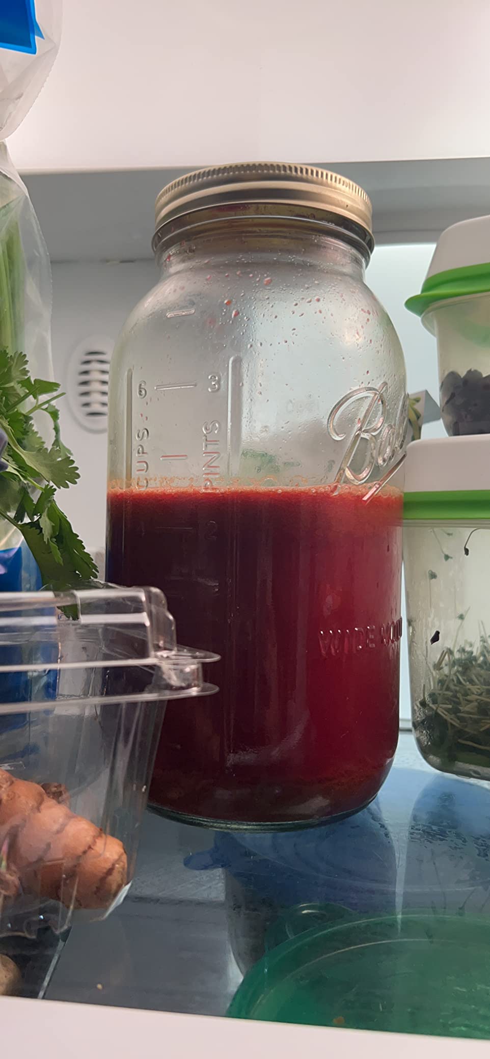 Nutribullet Slow Juicer, Slow Masticating Juicer Machine, Easy to Clean, Quiet Motor & Reverse Function, BPA-Free, Cold Press Juicer with Brush, 150 Watts, Charcoal Black, NBJ50300, 24-oz customer photo 1