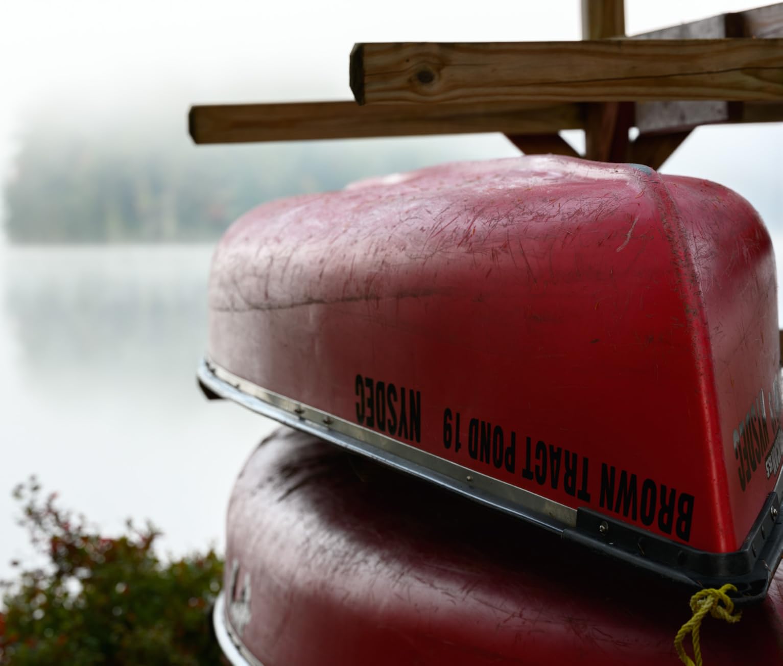 Nikon NIKKOR Z MC 105mm f/2.8 VR S | Professional macro prime lens for Z series mirrorless cameras | Nikon USA Model customer photo 1