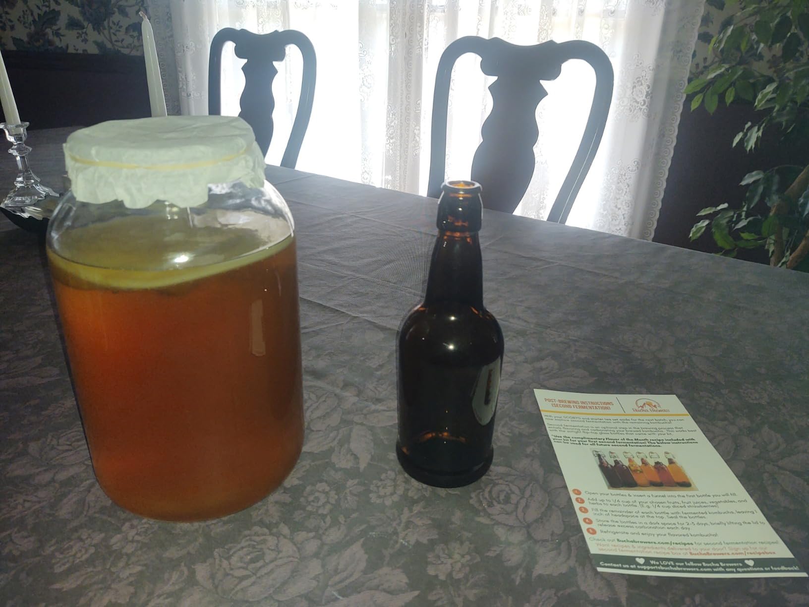 Deluxe Kombucha Starter Kit with Kombucha SCOBY & Starter Tea, Full Kombucha Kit with Bottles Swing Top Glass Bottles Kombucha Brewing Kit + 6 Bottles to Flavor Kombucha (Clear Bottles) customer photo 1