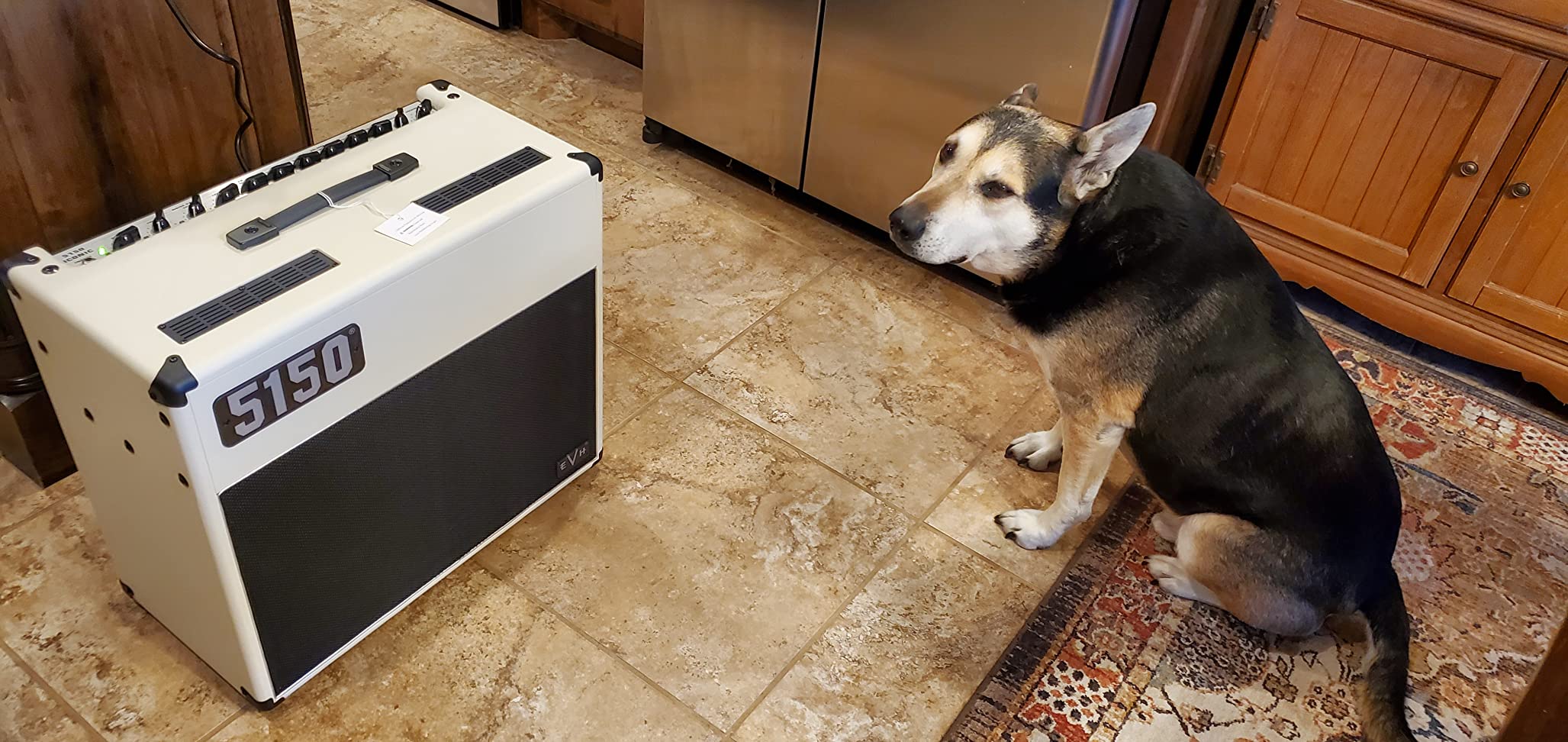 EVH 5150 Iconic Series 40-watt 1 x 12-inch Tube Combo Amp - Ivory customer photo 1