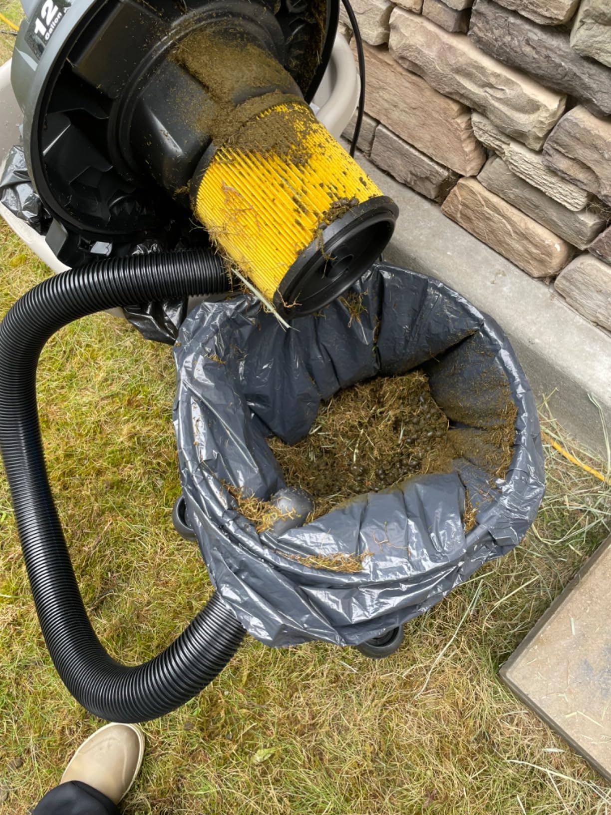 Vacmaster Wet/Dry Vacuum with Detachable Blower 6 Gallon 5 Peak HP-VBVB611PF 1101 customer photo 2