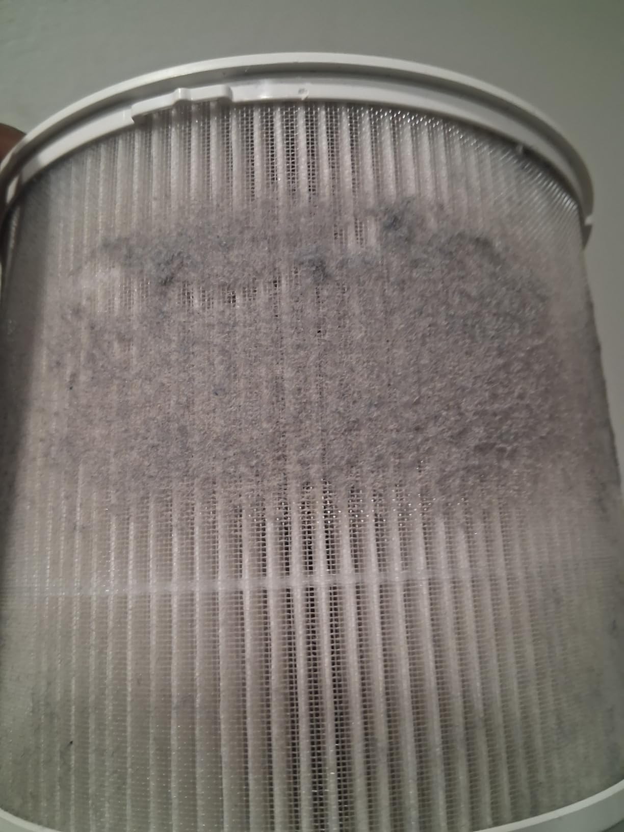 Clorox Air Purifiers for Bedroom Home, True HEPA Filter, Small Rooms Up to 200 Sq Ft, Removes 99.9% of Mold, Viruses, Wildfire Smoke, Allergens, Pet Allergies, Dust, AUTO Mode, Whisper Quiet customer photo 1