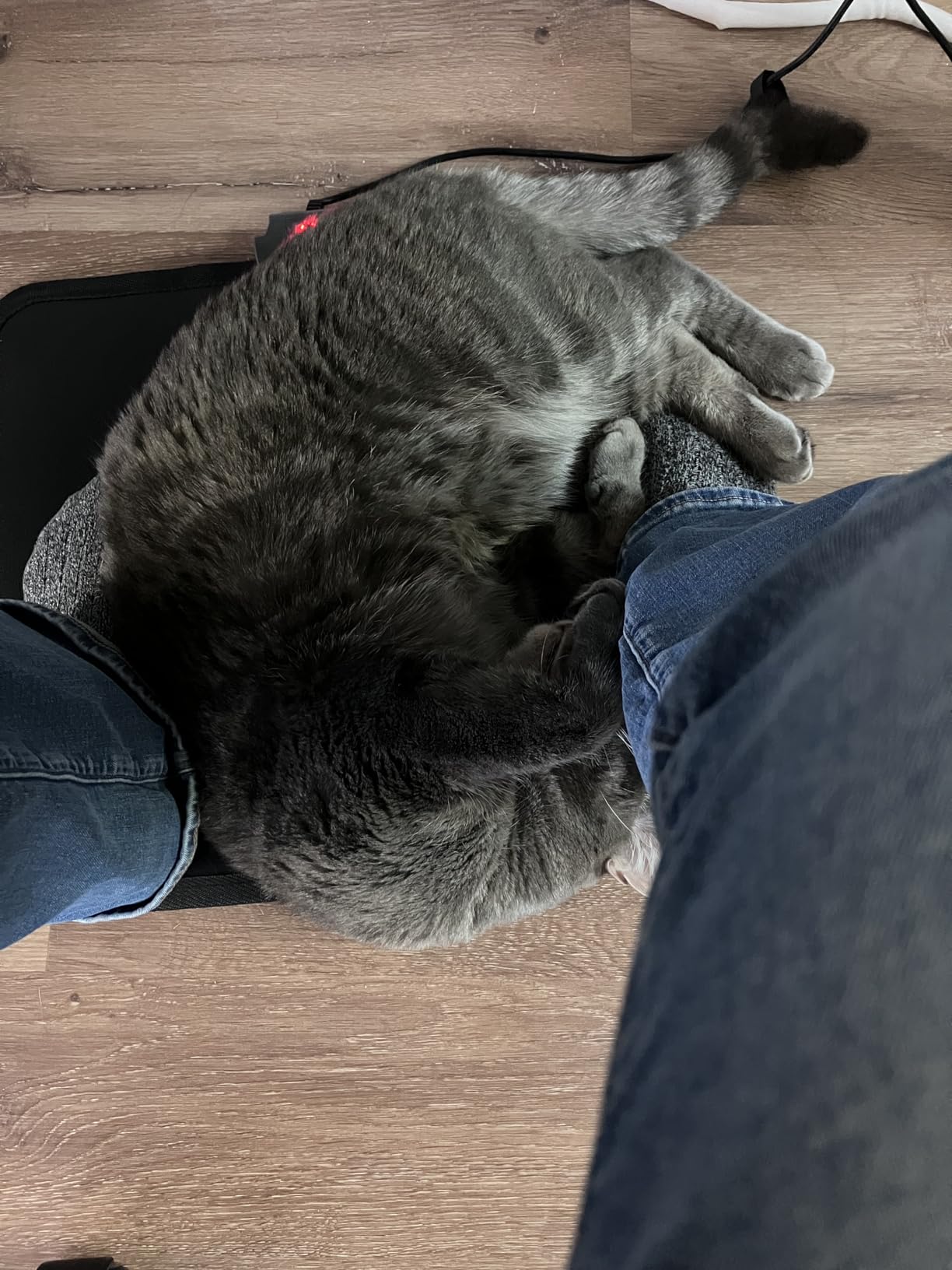 Heated Floor Mat Under Desk for Foot Warmer - Wider 110V Adjustable Temperature Electric Space Heaters Heating Pad - Carbon Crystal & Energy Saving Feet Warmers for Office,Home (Black Gray) customer photo 1