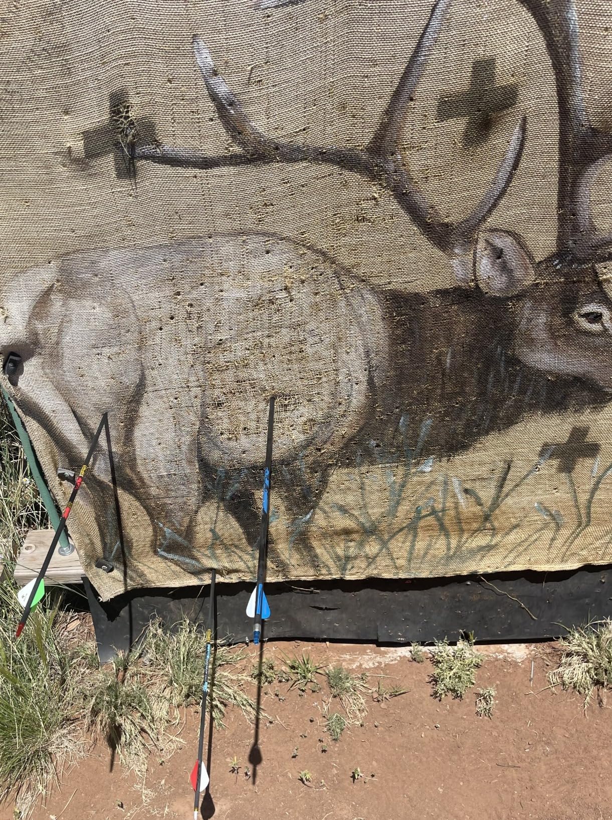 Garmin Xero A1i PRO Bow Sight, Right-Handed Auto-ranging Digital Sight with Microadjustments for Elevation, Windage and More customer photo 1