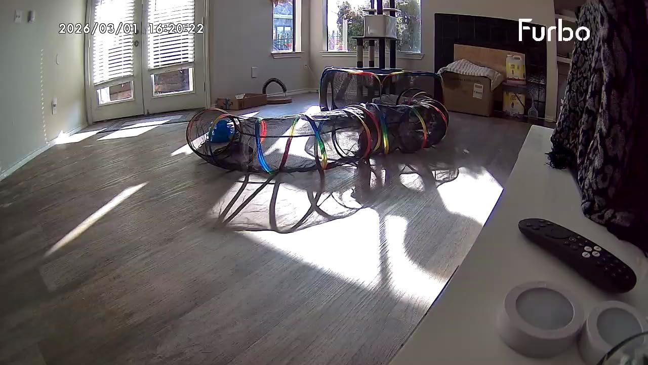 360° Dog Camera: Pet Security Cam w/Barking Alerts, Rotating View, Treat Toss w/Phone App, Smart Home Puppy Monitoring, 2-Way Speaker, No Subscription Needed. Standard See, Talk, & Toss Features customer photo 2