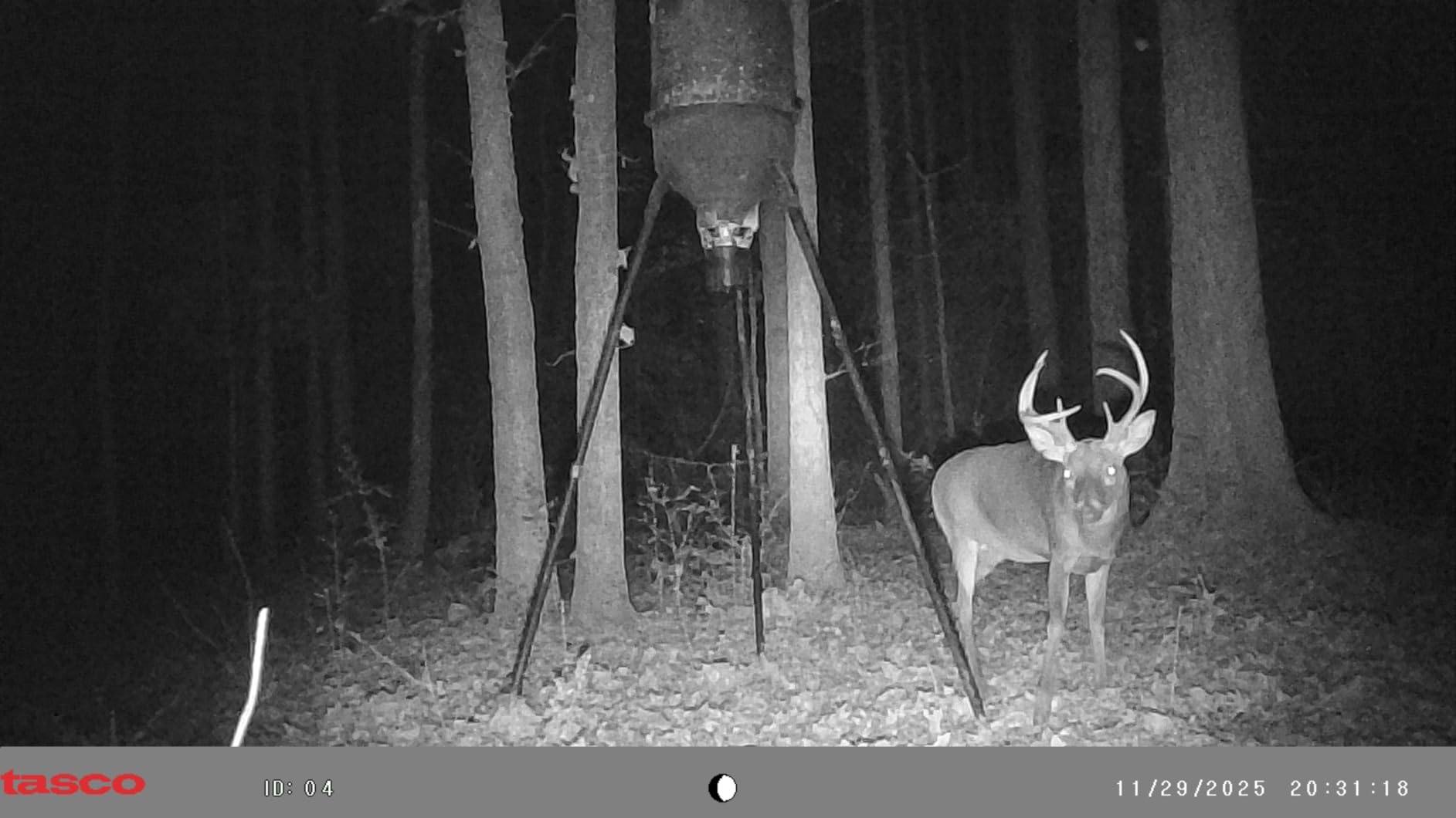 Tasco 12MP Trail Camera with Low Glow Infrared Flash customer photo 1