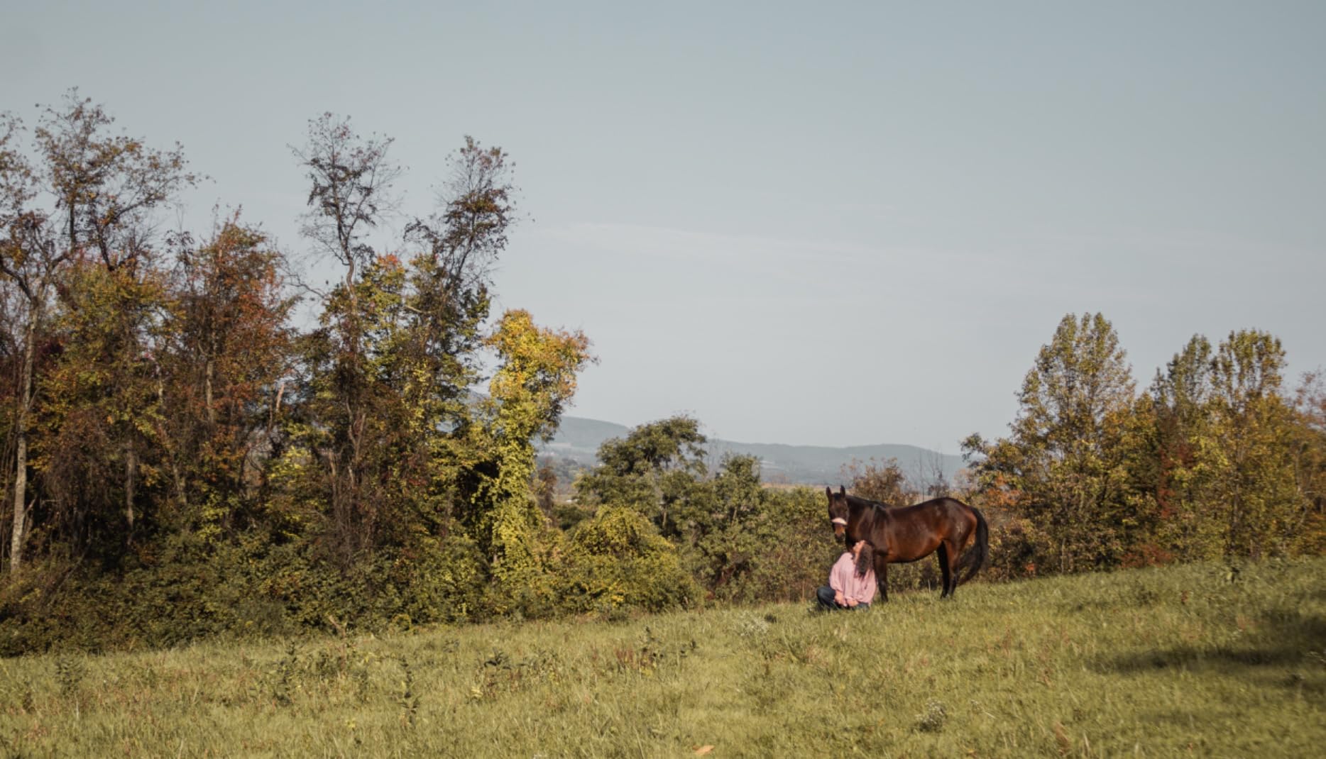 Camera Remote Shutter Release Wireless: [164'] Radio Control Accessories for Canon Rebel T7 T6 T5 T8i T7i SL3 EOS R RP R100 R7 R6 Mark II III R50V 90D 80D 70D customer photo 1