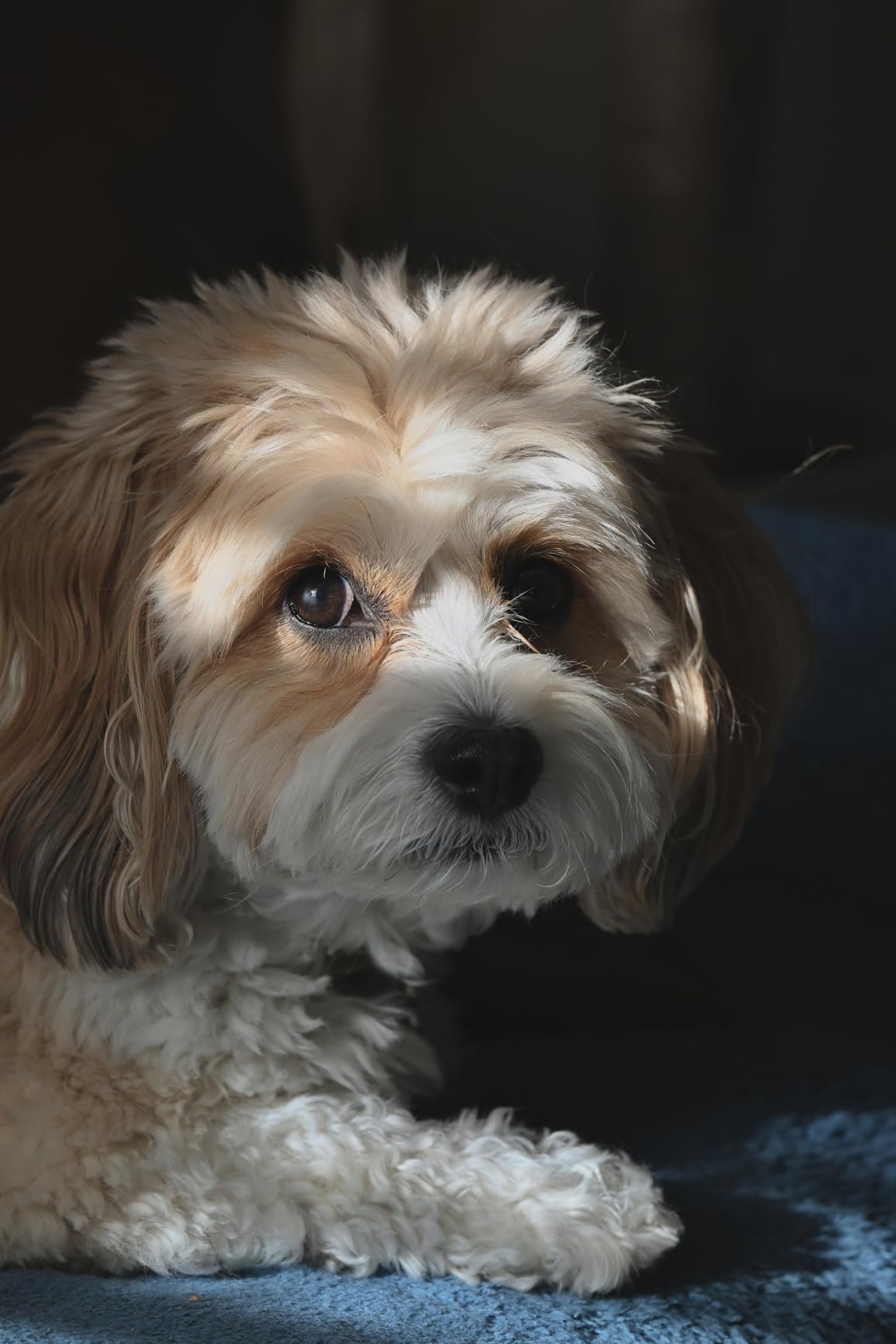 NIKKOR Z 24-120mm f/4 S | Premium constant aperture all-in-one zoom lens for Z series mirrorless cameras (wide angle to telephoto) | Nikon USA Model customer photo 1