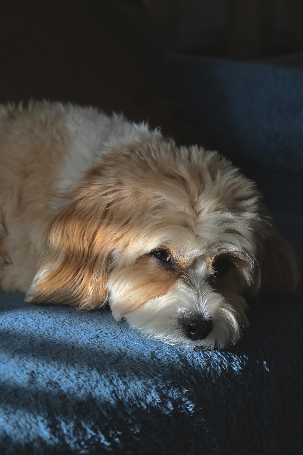 NIKKOR Z 24-120mm f/4 S | Premium constant aperture all-in-one zoom lens for Z series mirrorless cameras (wide angle to telephoto) | Nikon USA Model customer photo 2