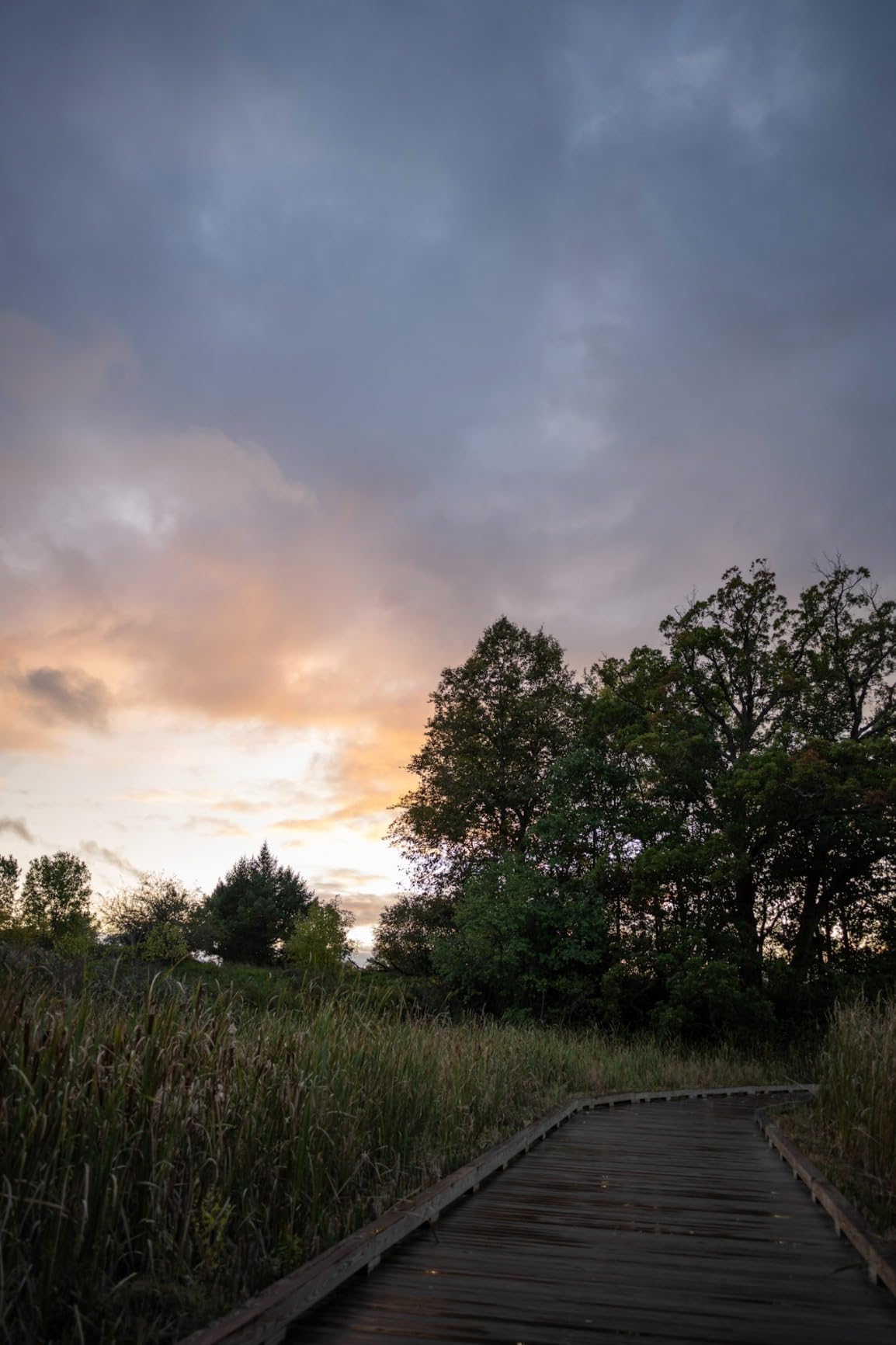 NIKKOR Z 28mm f/2.8 | Compact standard prime lens for Z series mirrorless cameras | Nikon USA Model customer photo 2