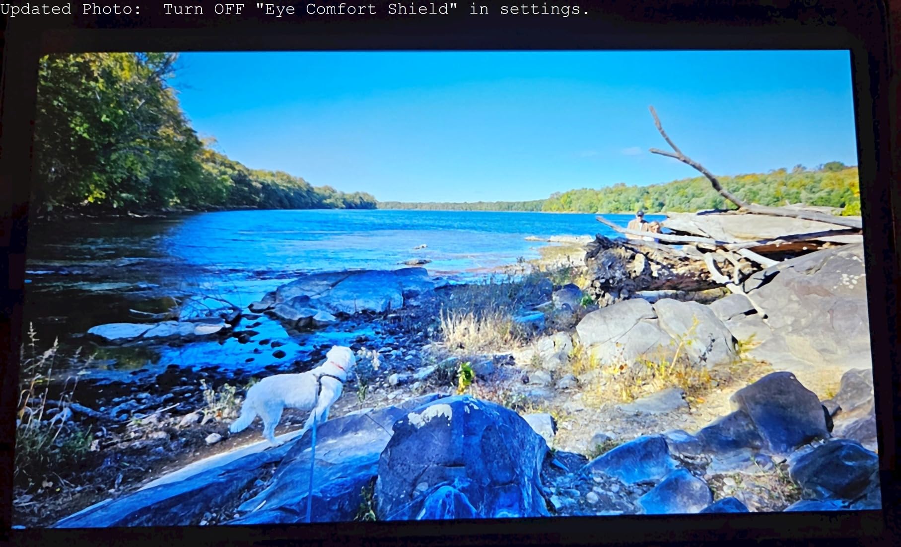 Samsung Galaxy Tab A8 10.5 inch 64GB Android Tablet, LCD Screen, Kids Content, Smart Switch, Expandable Memory customer photo 2