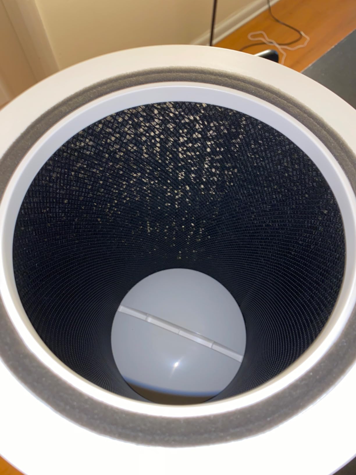 Clorox HEPA Air Purifiers for Home, True HEPA Filter, Medium Rooms Up to 1,000 Sq Ft, Removes 99.9% of Mold, Viruses, Wildfire Smoke, Allergens, Pet Allergies, Dust, AUTO Mode, Whisper Quiet customer photo 2