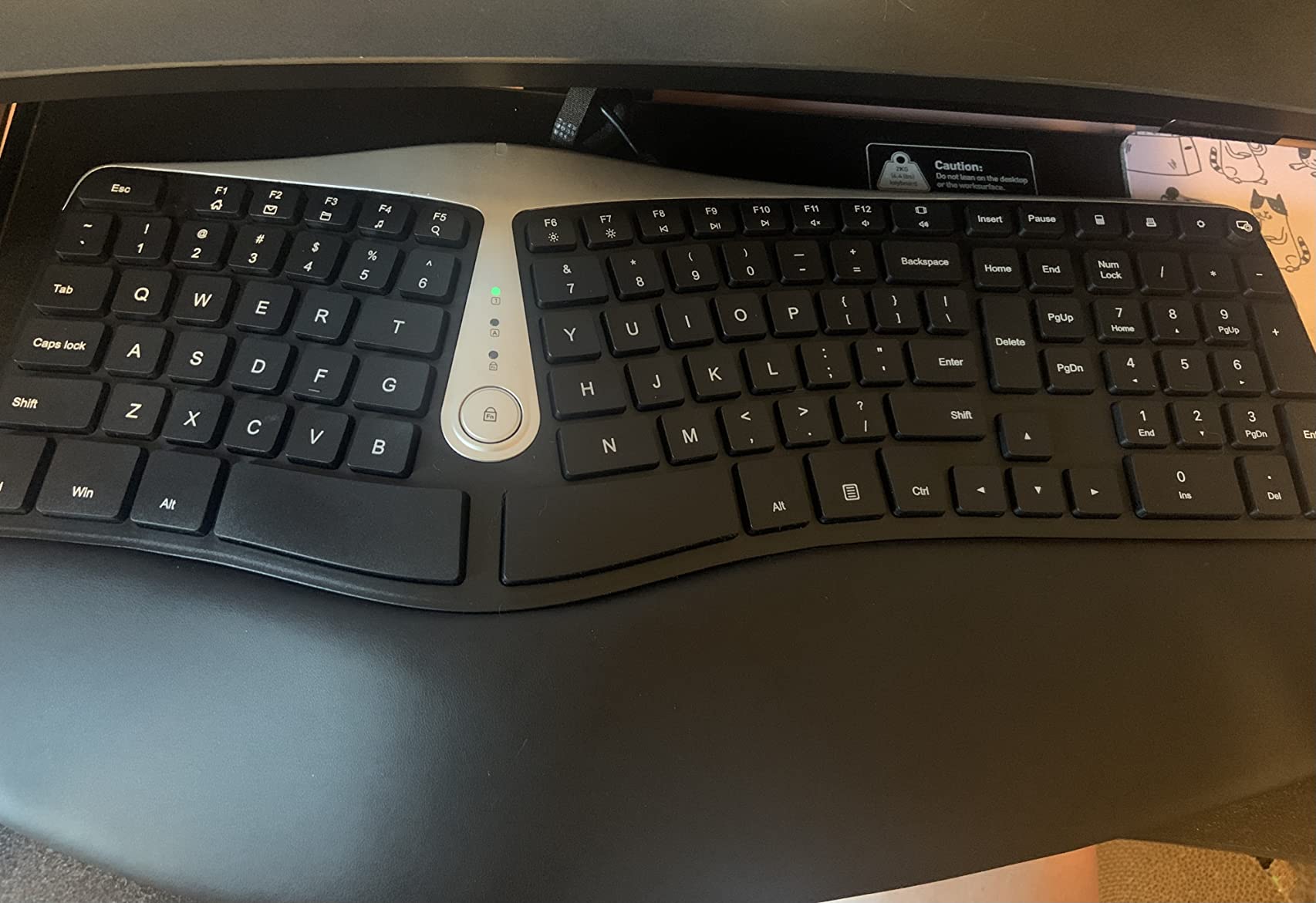 Nulea RT02 Ergonomic Split Keyboard with Pillowed Wrist Support, Dual USB Ports, Natural Typing for Carpal Tunnel, Compatible with Windows Mac customer photo 1