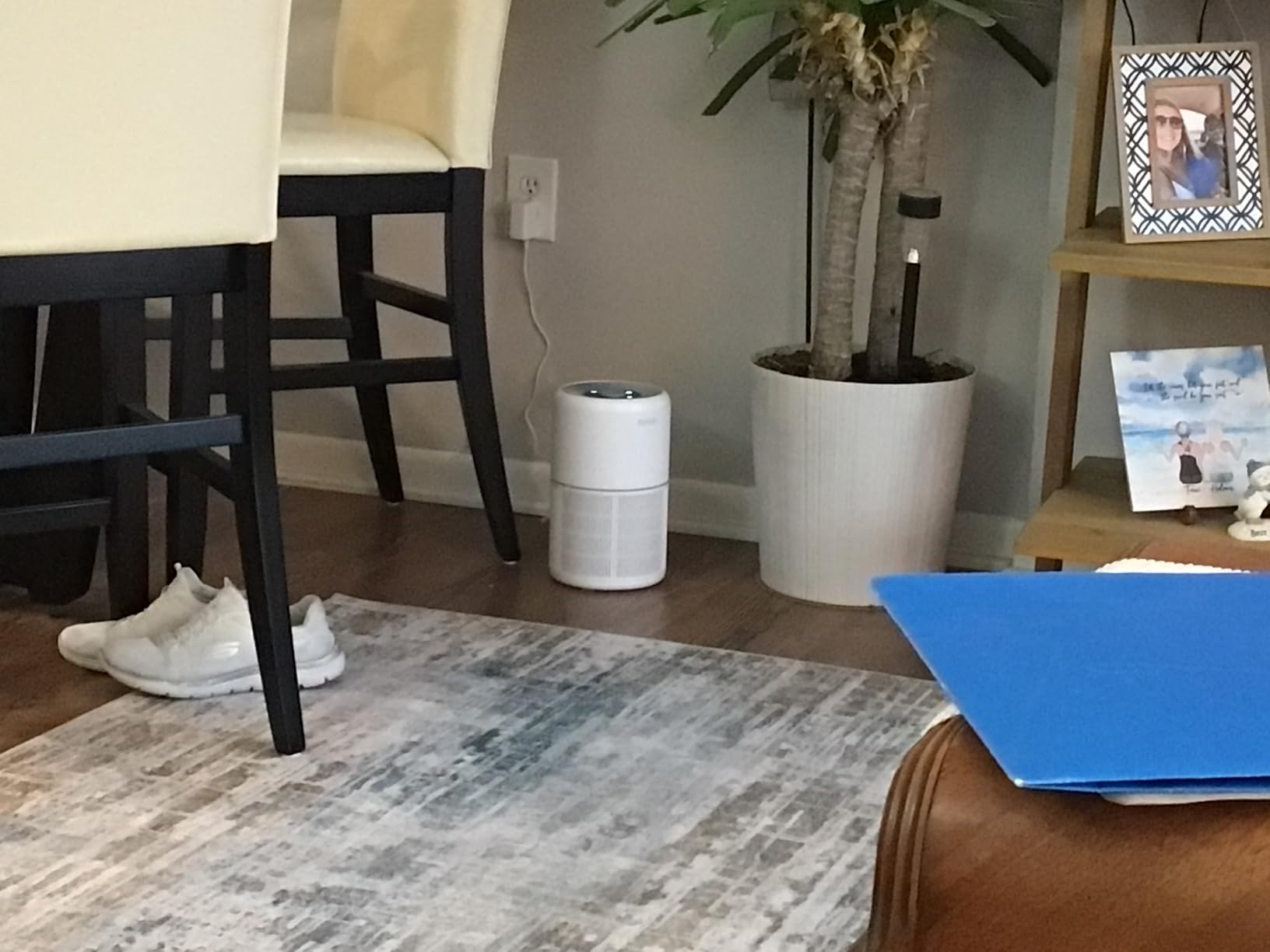 2 Pack Air Purifier for Home Bedroom with H13 True HEPA Filter for Smoke, Smokers, Dust, Odors, Pollen, Pet Dander | Quiet 99.9% Removal to 0.1 Microns | White Available for California customer photo 1