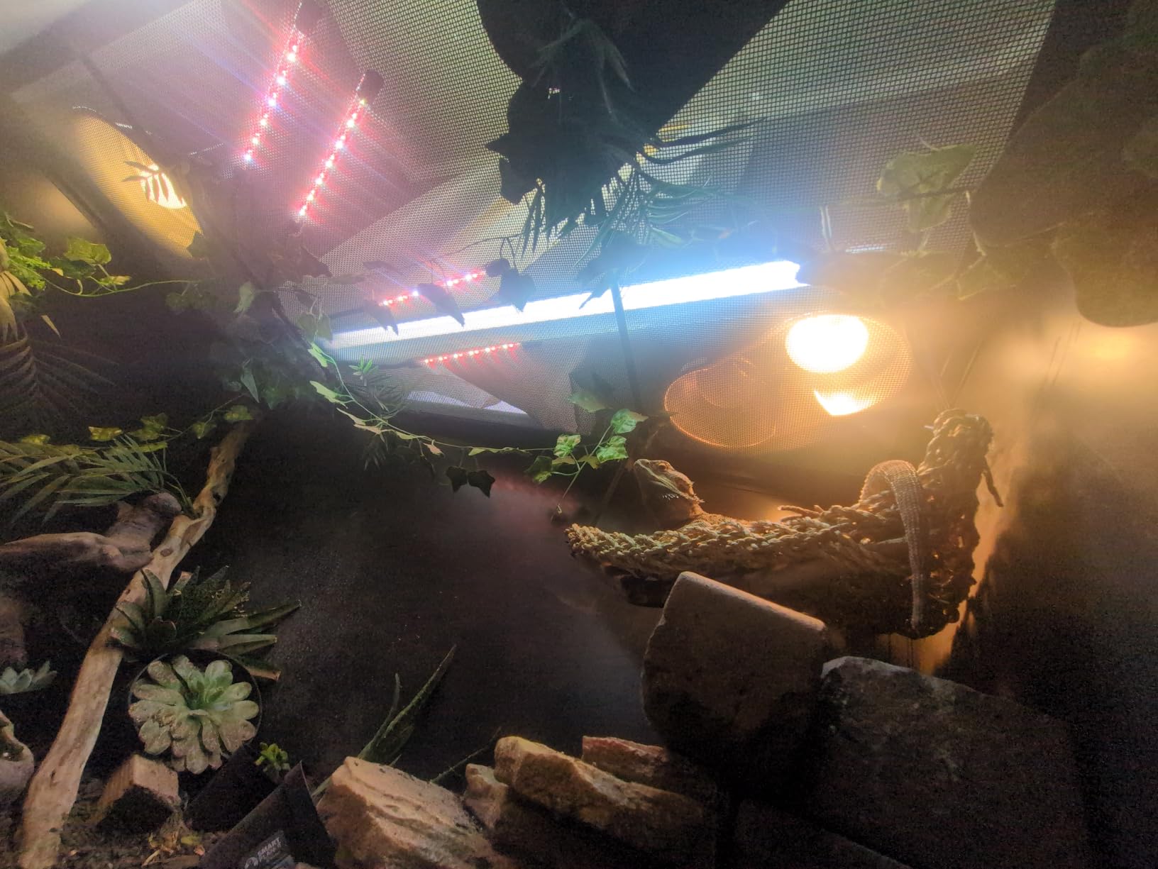 Arcadia T5 UVB Reptile Light Fixture Kit 34