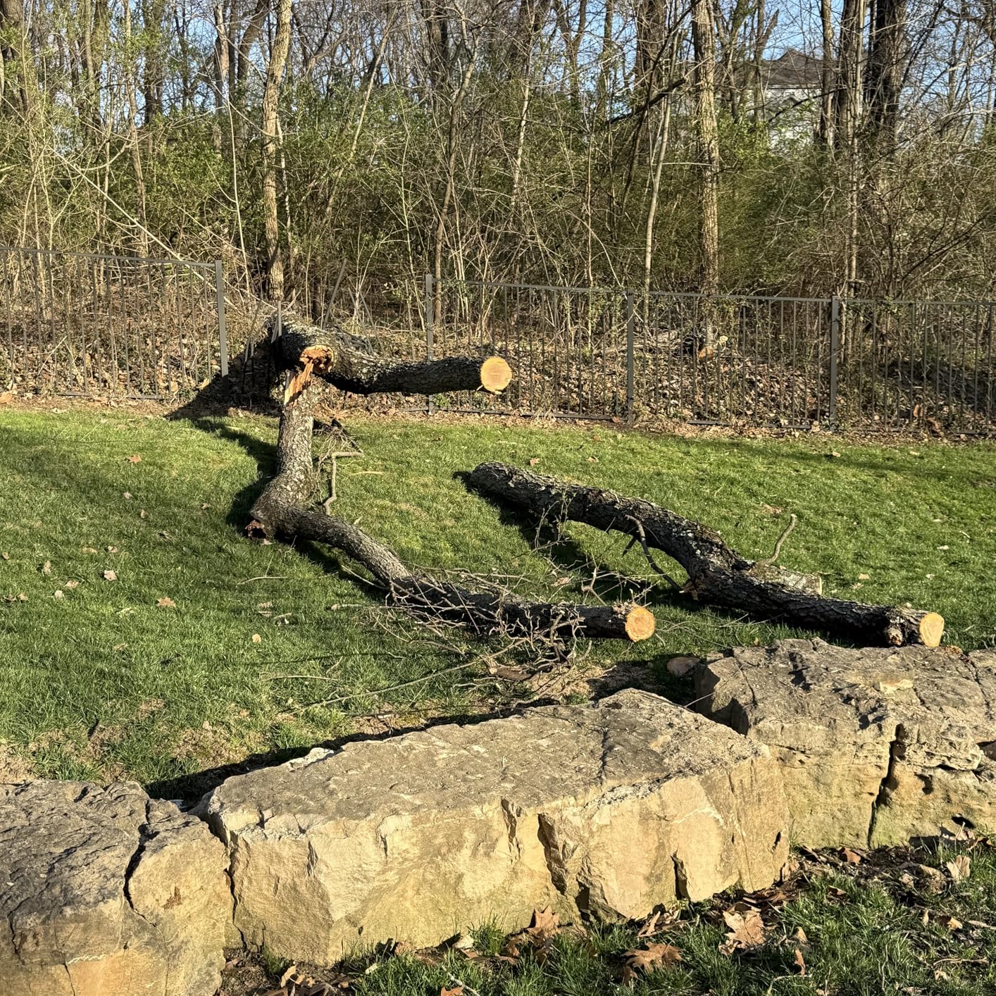 EGO POWER+ Chain Saw, 16