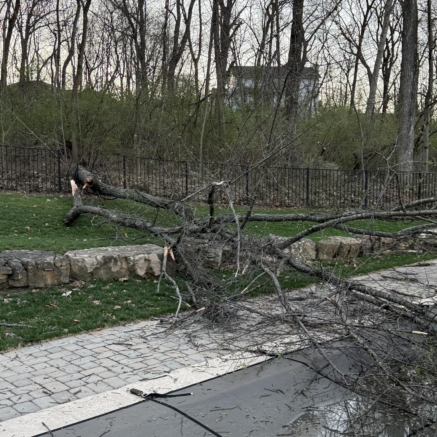 EGO POWER+ Chain Saw, 16