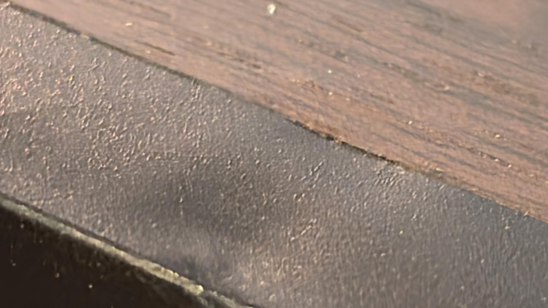 Fluance Ai41 Powered 2-Way 2.0 Stereo Bookshelf Speakers with Speaker Stands 5